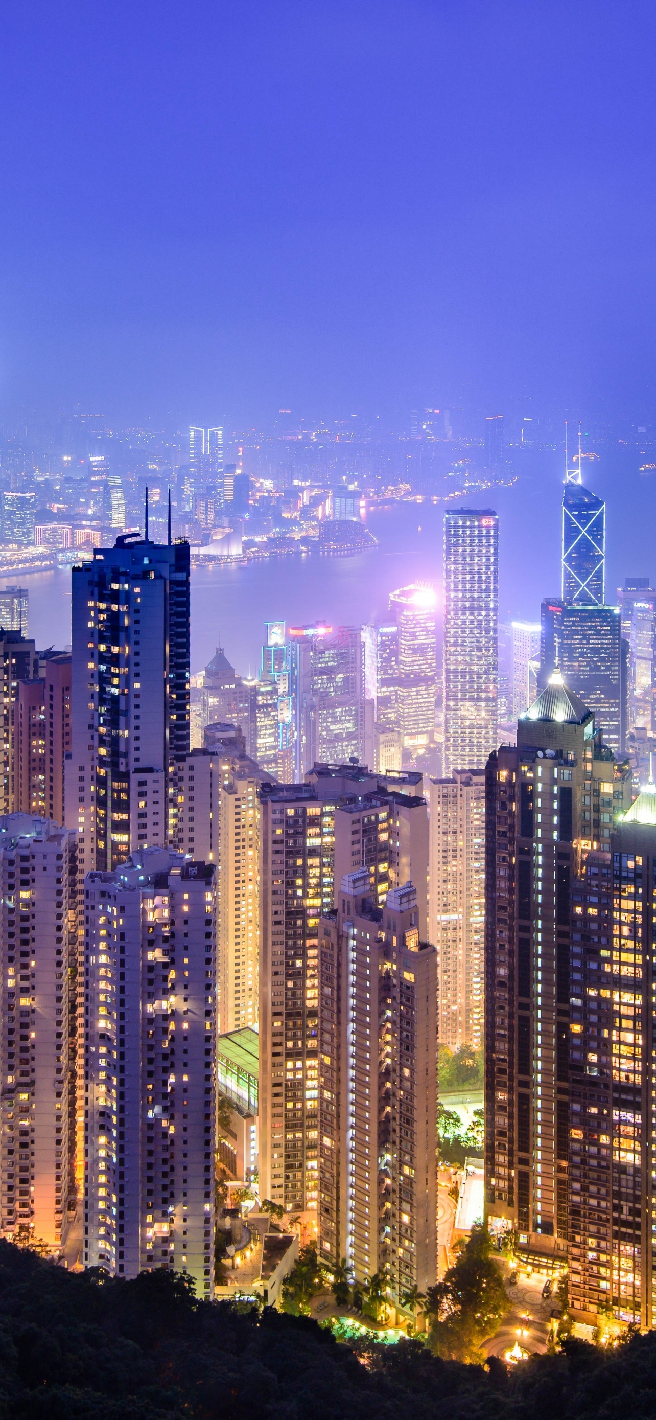 Hong Kong skyline, Victoria Peak, Night time view, Dynamic city scene, 1290x2780 HD Handy