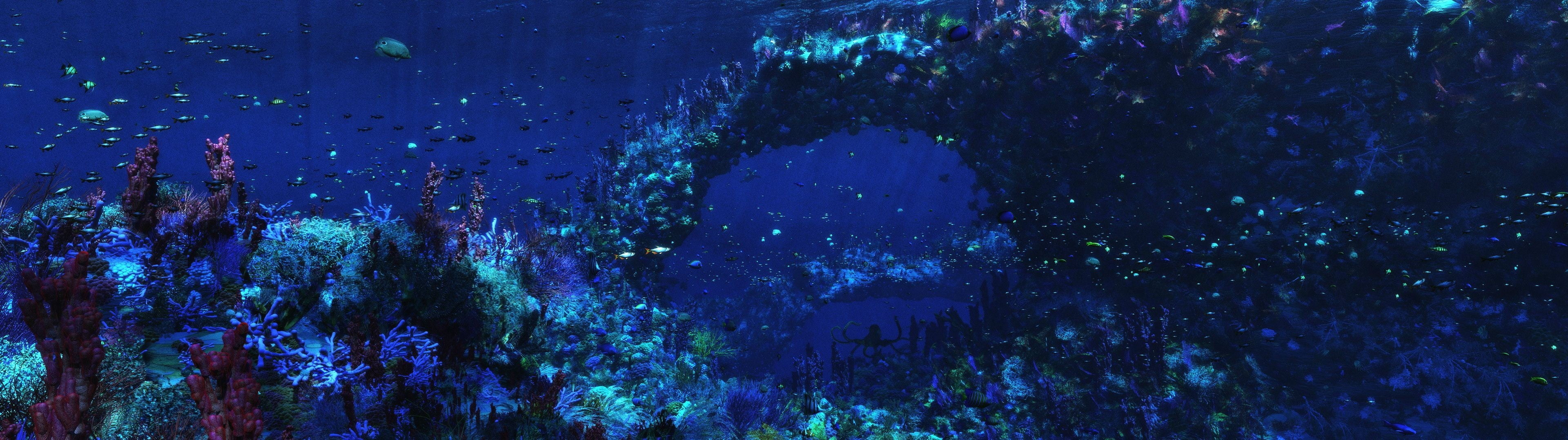 Coral Sea, Nudibranchia, Underwater creatures, HD wallpaper, 3840x1080 Dual Screen Desktop