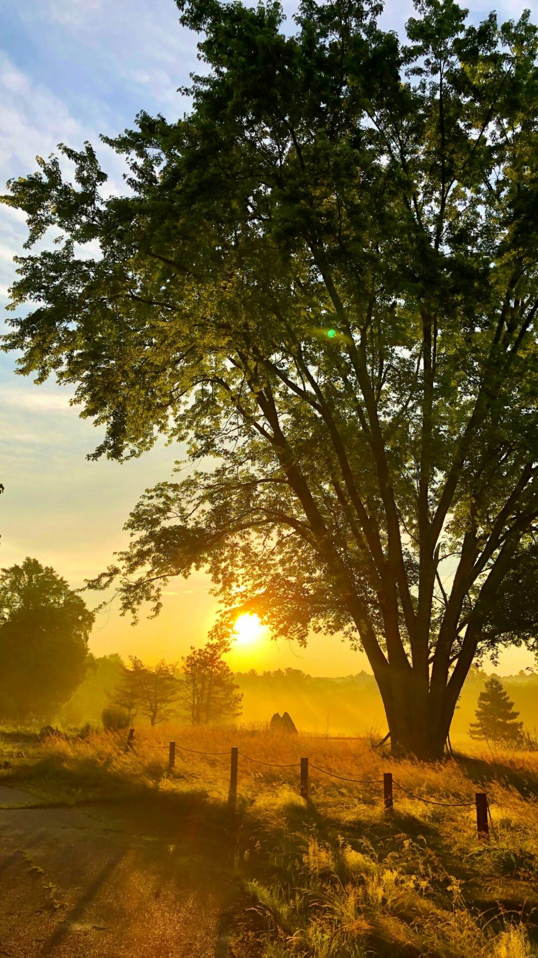 Sunrise: The time in the morning when the sun appears, Spectacular natural countryside. 1080x1920 Full HD Background.