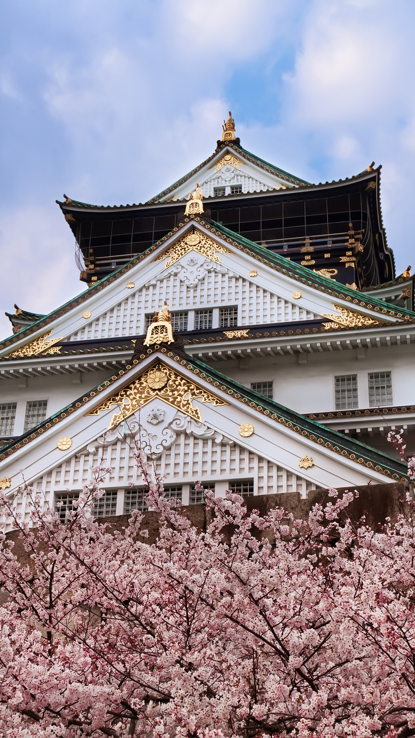 Osaka Castle, Travels, Man-made architecture, Japanese heritage, 1440x2560 HD Phone