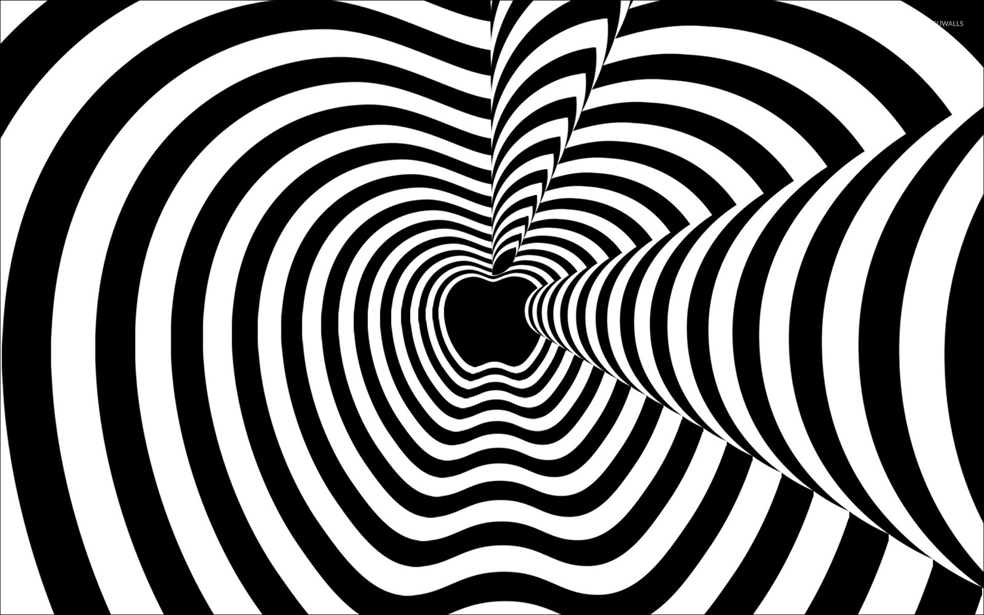 Hypnotic, Hypnotic black and white swirl, Abstract fascination, Enigmatic allure, 1920x1200 HD Desktop