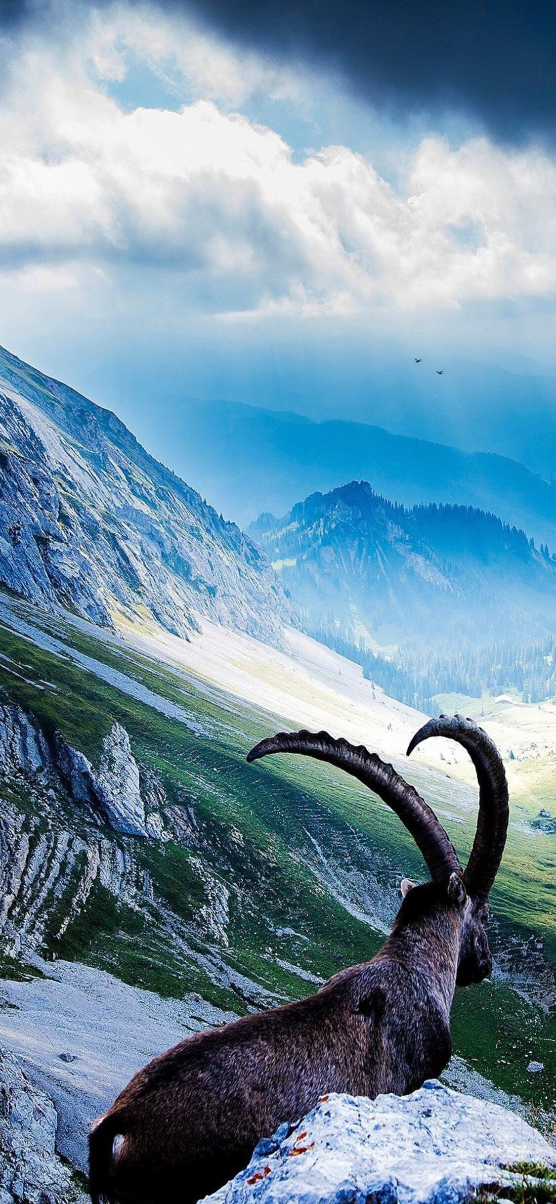 Mount Pilatus, Spectacular vista, iPhone wallpaper, Breathtaking scene, 1130x2440 HD Phone