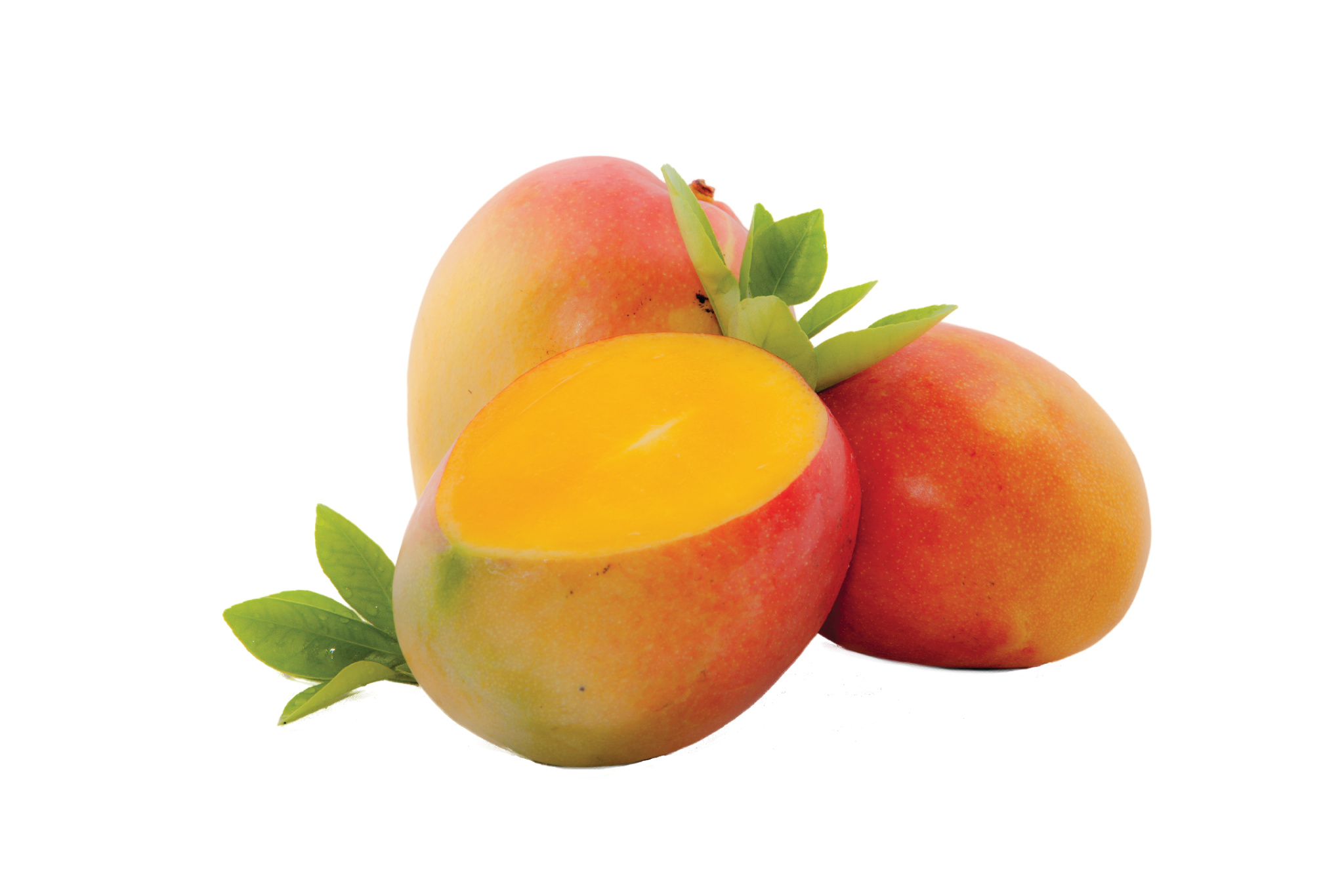 Mango: Characterized to have high water content and a wealth of nutrients. 2050x1370 HD Background.
