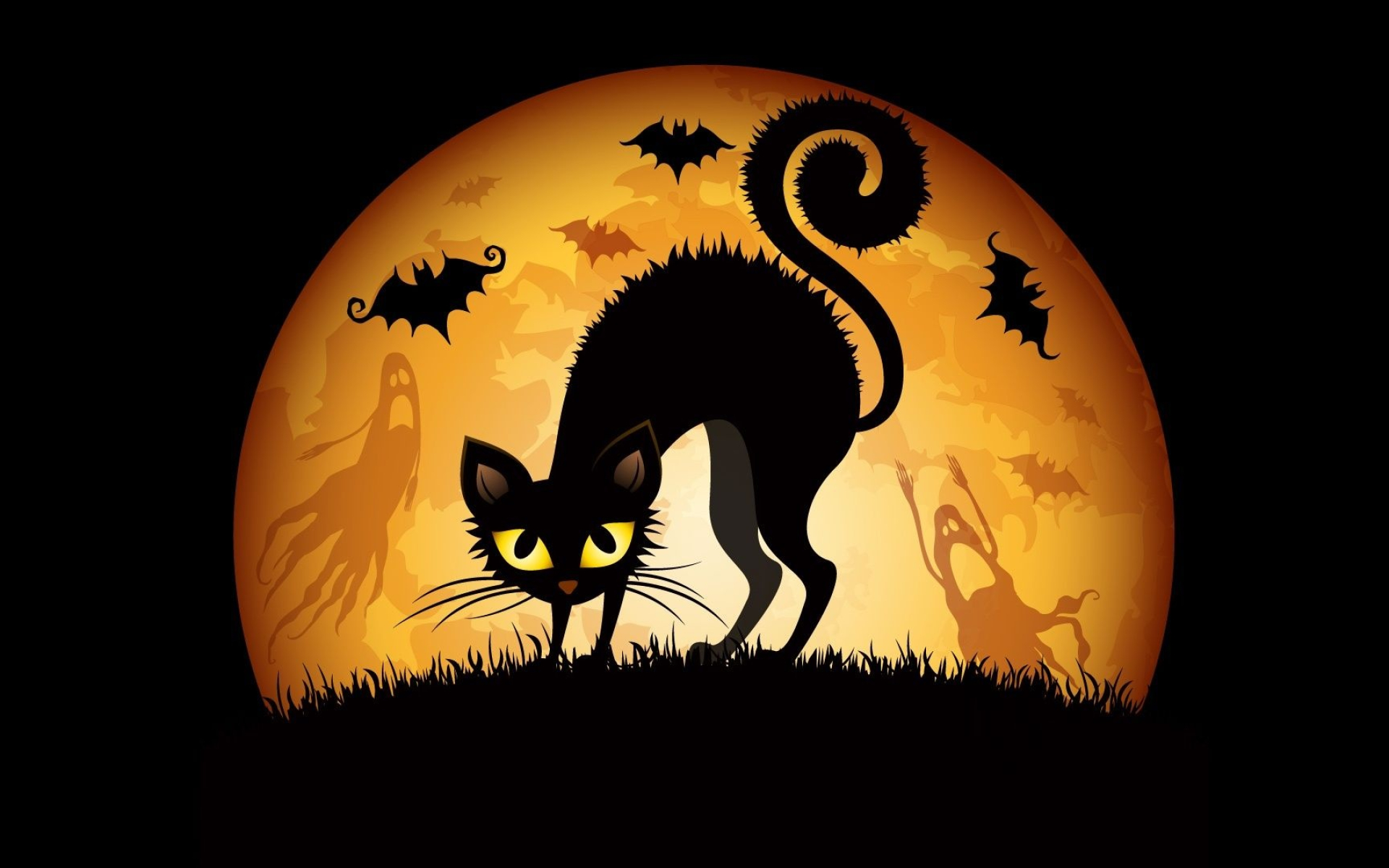 Halloween Cat, Top Halloween cat wallpapers, Spooky backgrounds, 1920x1200 HD Desktop