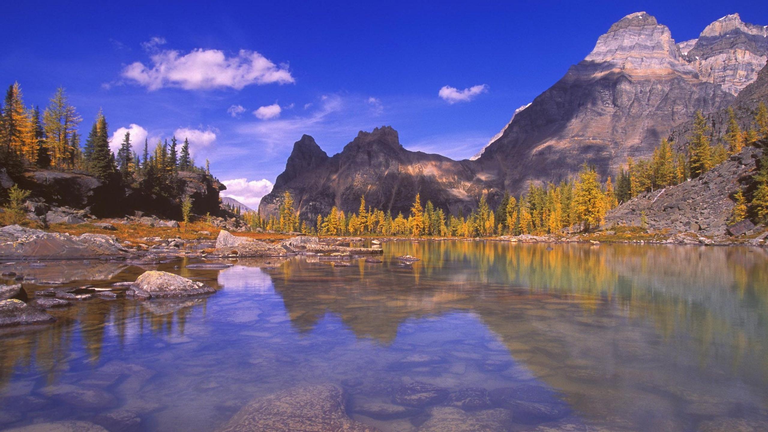 Rocky Mountain Park, HD wallpapers, Stunning nature, American wilderness, 2560x1440 HD Desktop