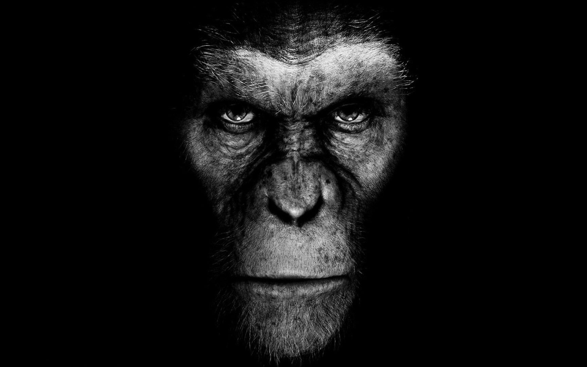 Planet of the Apes, Movie franchise, Rise of the Apes, Visually stunning, 1920x1200 HD Desktop