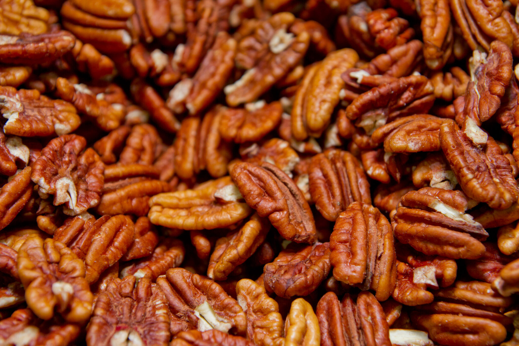 Pecans: Georgia's official nut, Trees can grow to over 150 ft tall. 2050x1370 HD Background.
