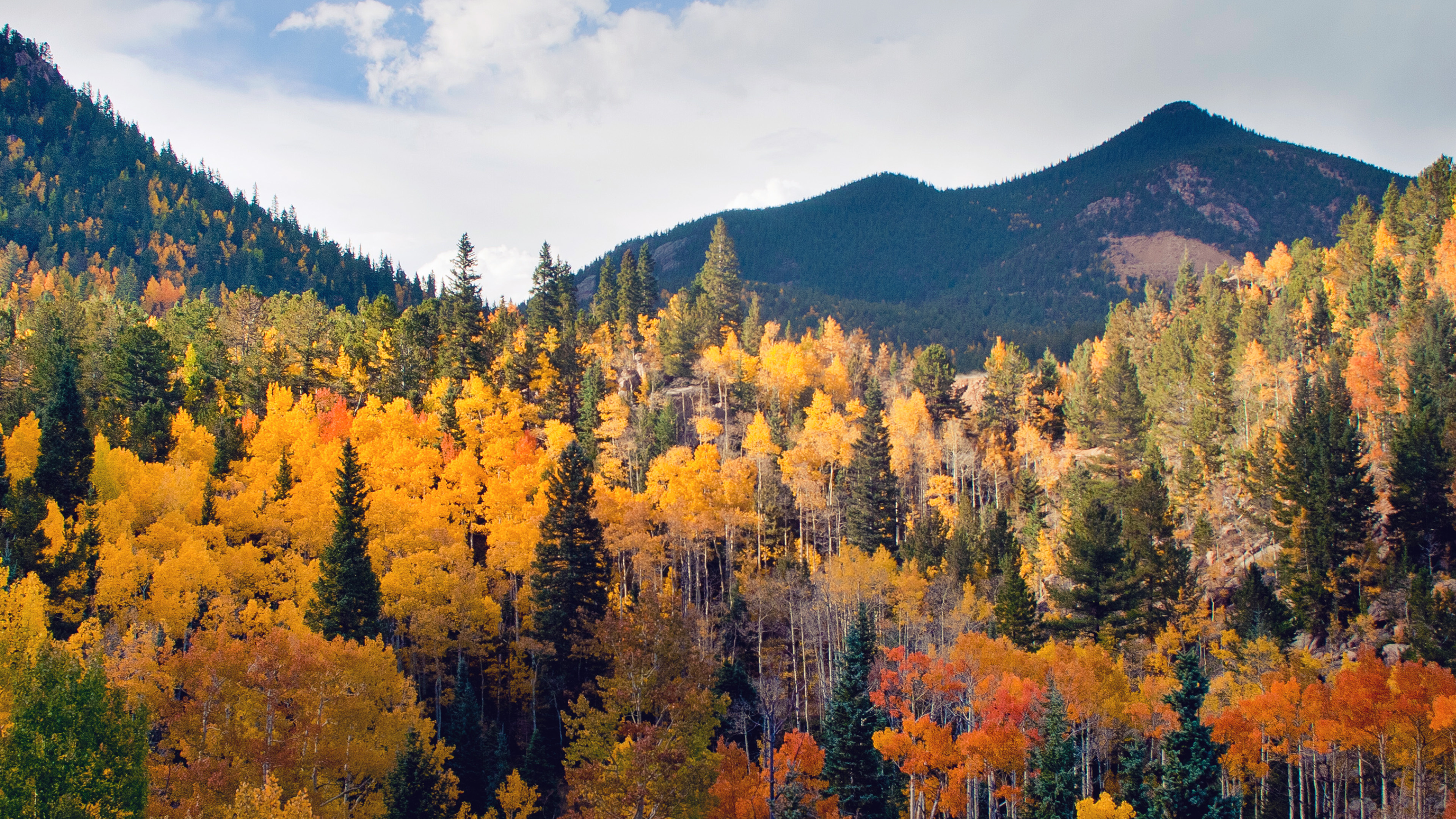 Mountain woodland, Fall colors, Forest canopy, Clear sky, Seasonal transition, 3840x2160 4K Desktop