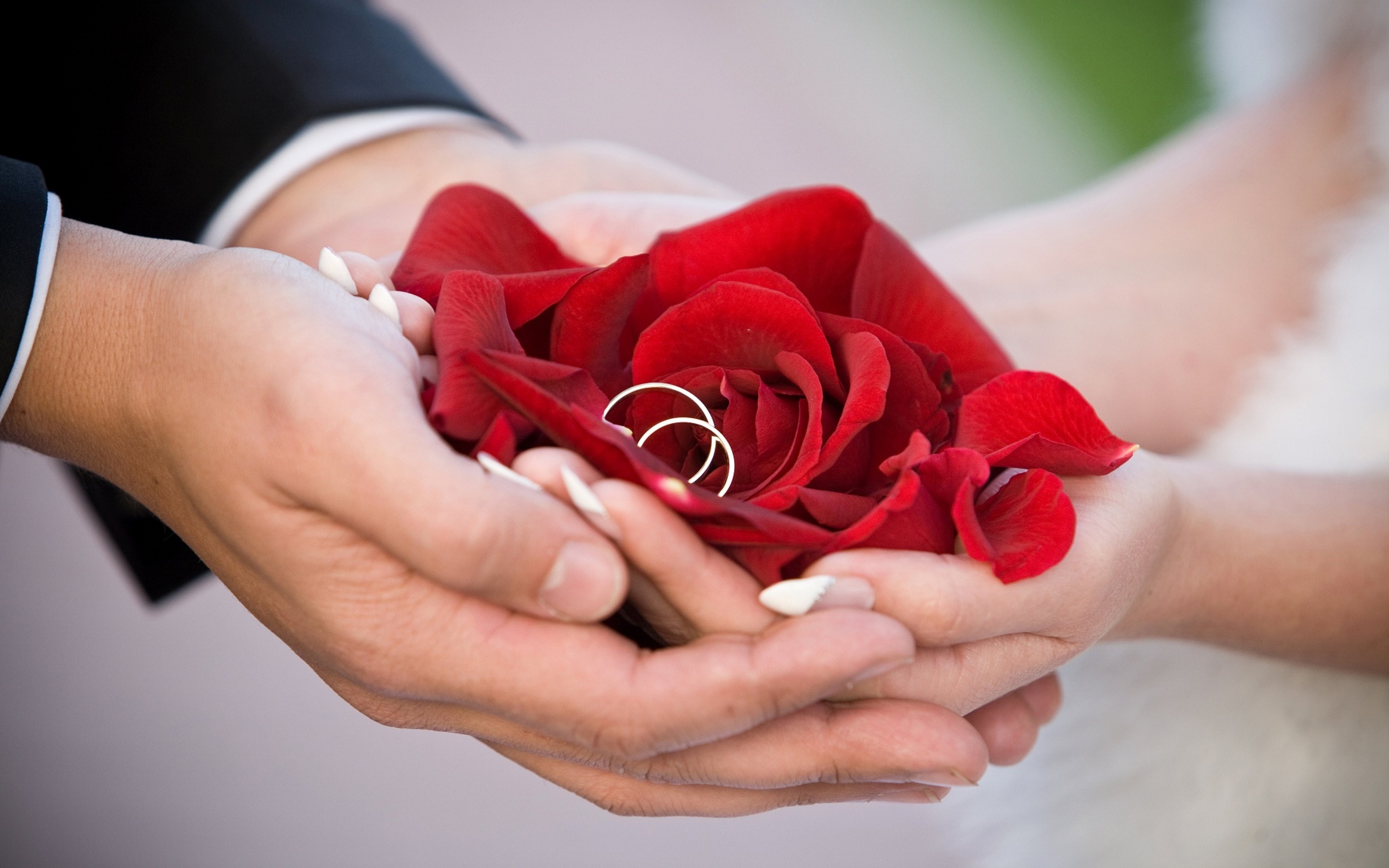 Anniversary wedding ring, Couple, Marriage, Red rose, Congratulations, Wishes, 3460x2160 HD Desktop