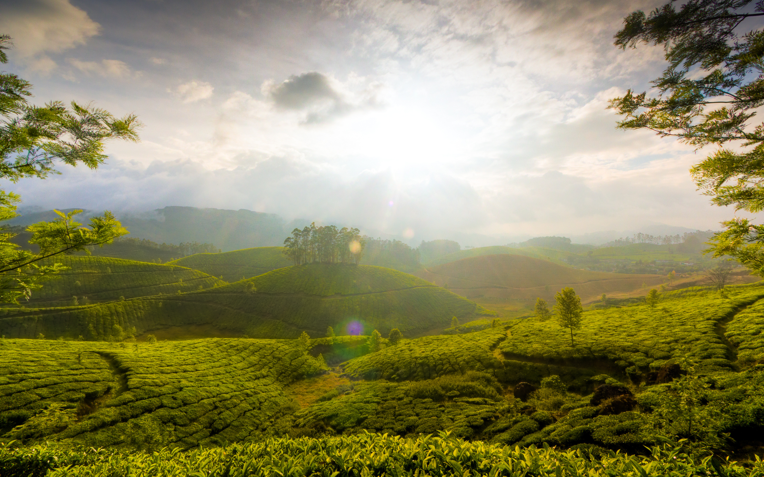 Kerala desktop wallpapers, Scenic views, Natural wonders, Desktop beautification, 2560x1600 HD Desktop