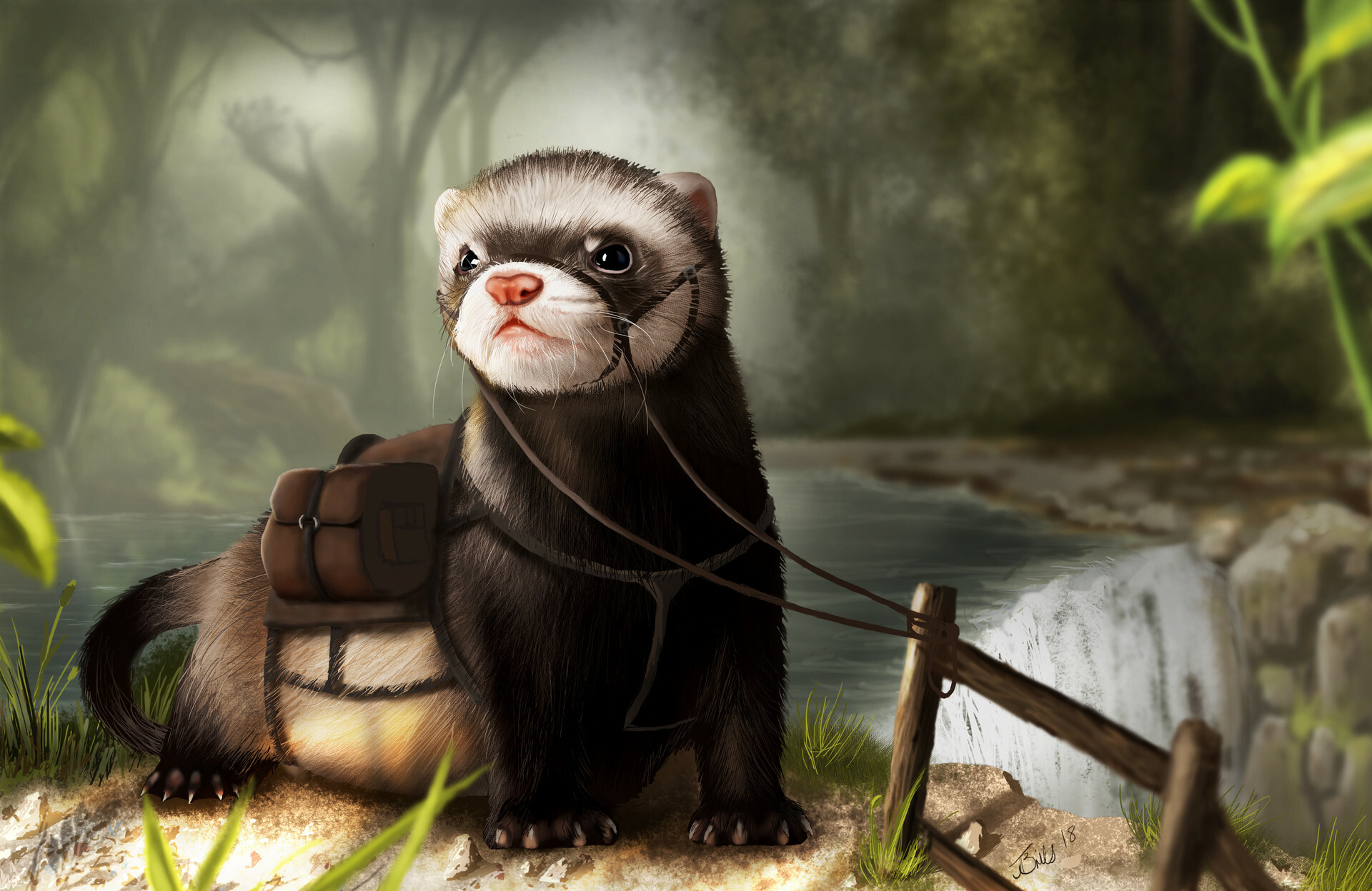 Ferret: Small animal, Belongs to the carnivore family of the Mustelidae. 1920x1250 HD Wallpaper.