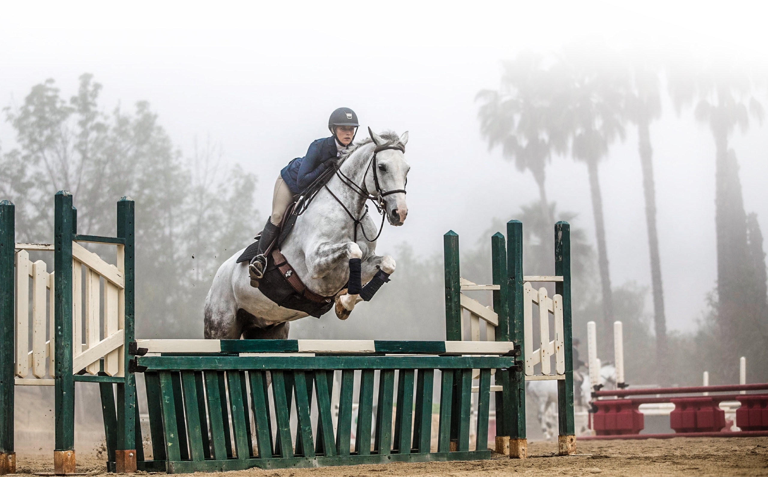 Eventing: Show jumping, Official Olympic sport and a popular outdoor recreational activity. 2560x1600 HD Wallpaper.