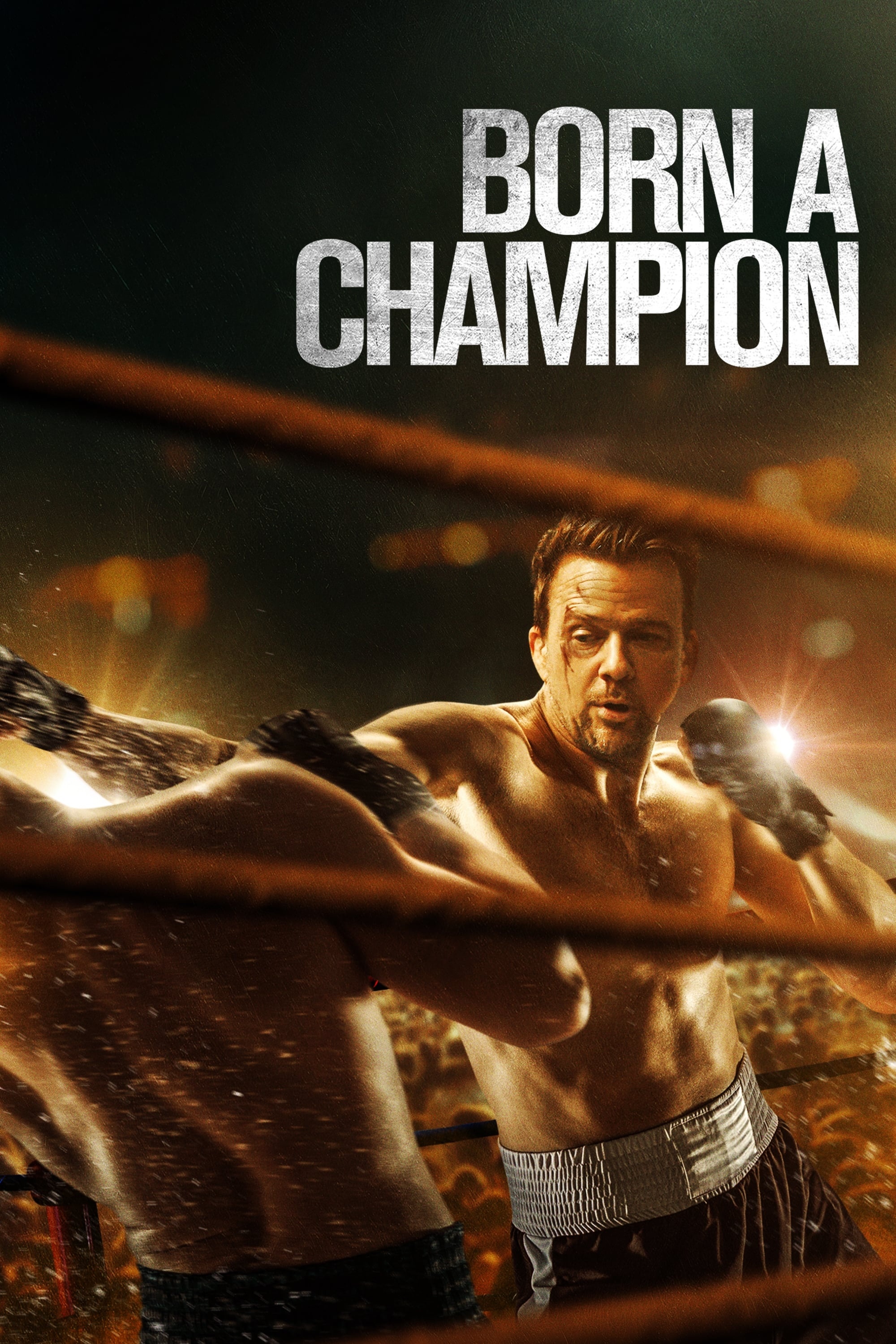 Born a Champion movie, Action-packed posters, Martial arts film, Inspiring story, 2000x3000 HD Phone