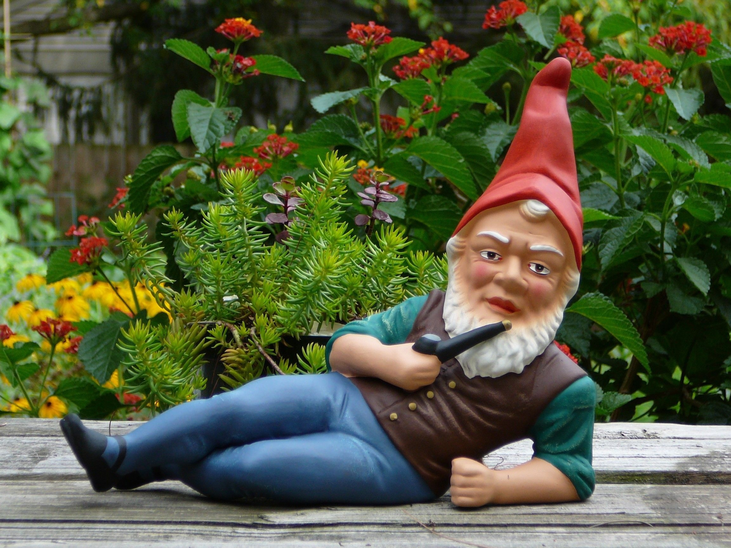 Garden gnome wallpapers, Outdoor dcor, Cute garden gnomes, Whimsical statues, 2560x1920 HD Desktop