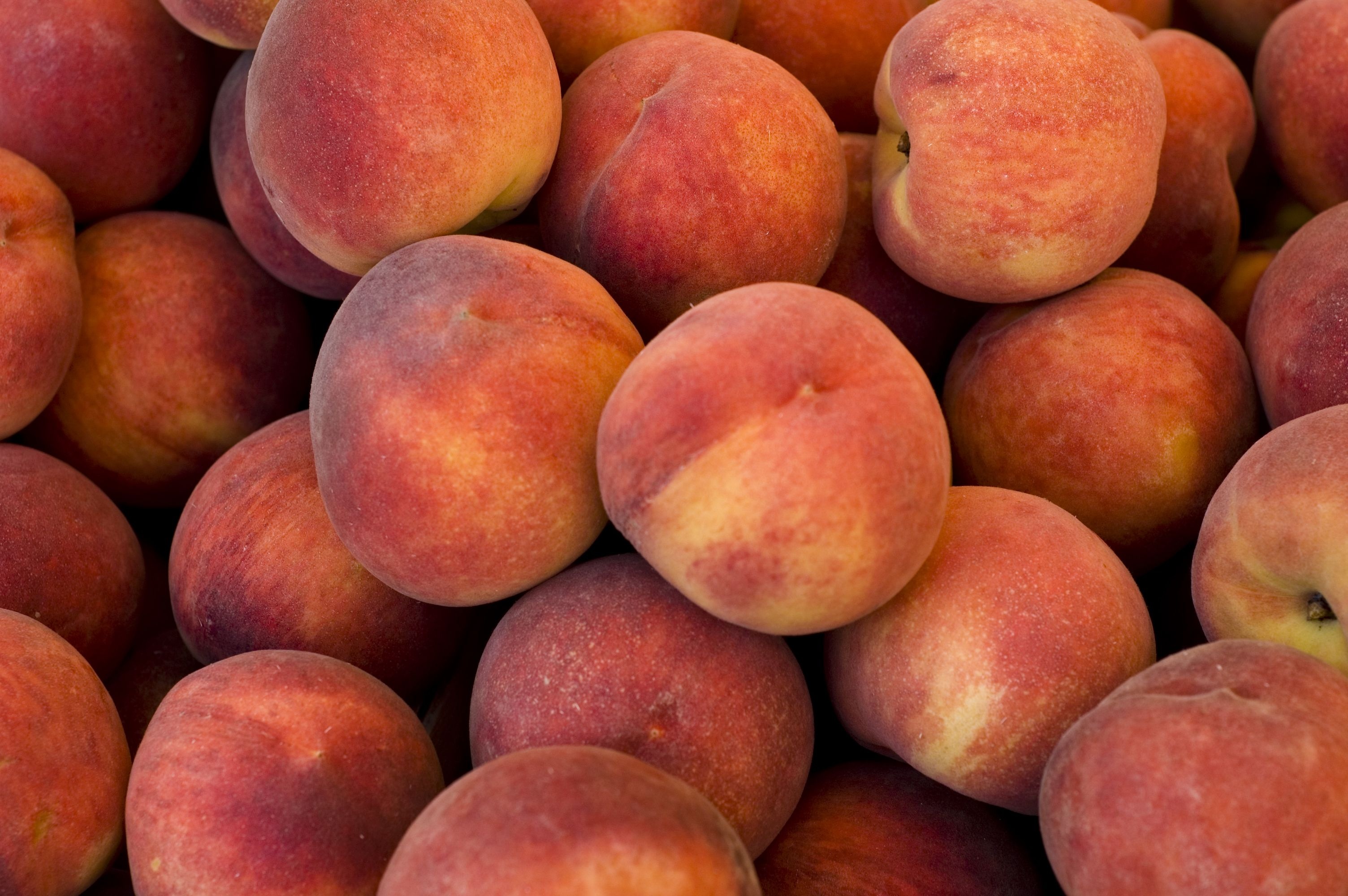 Peach: Considered drupes or stone fruit because their flesh surrounds a shell that houses an edible seed. 3010x2000 HD Wallpaper.