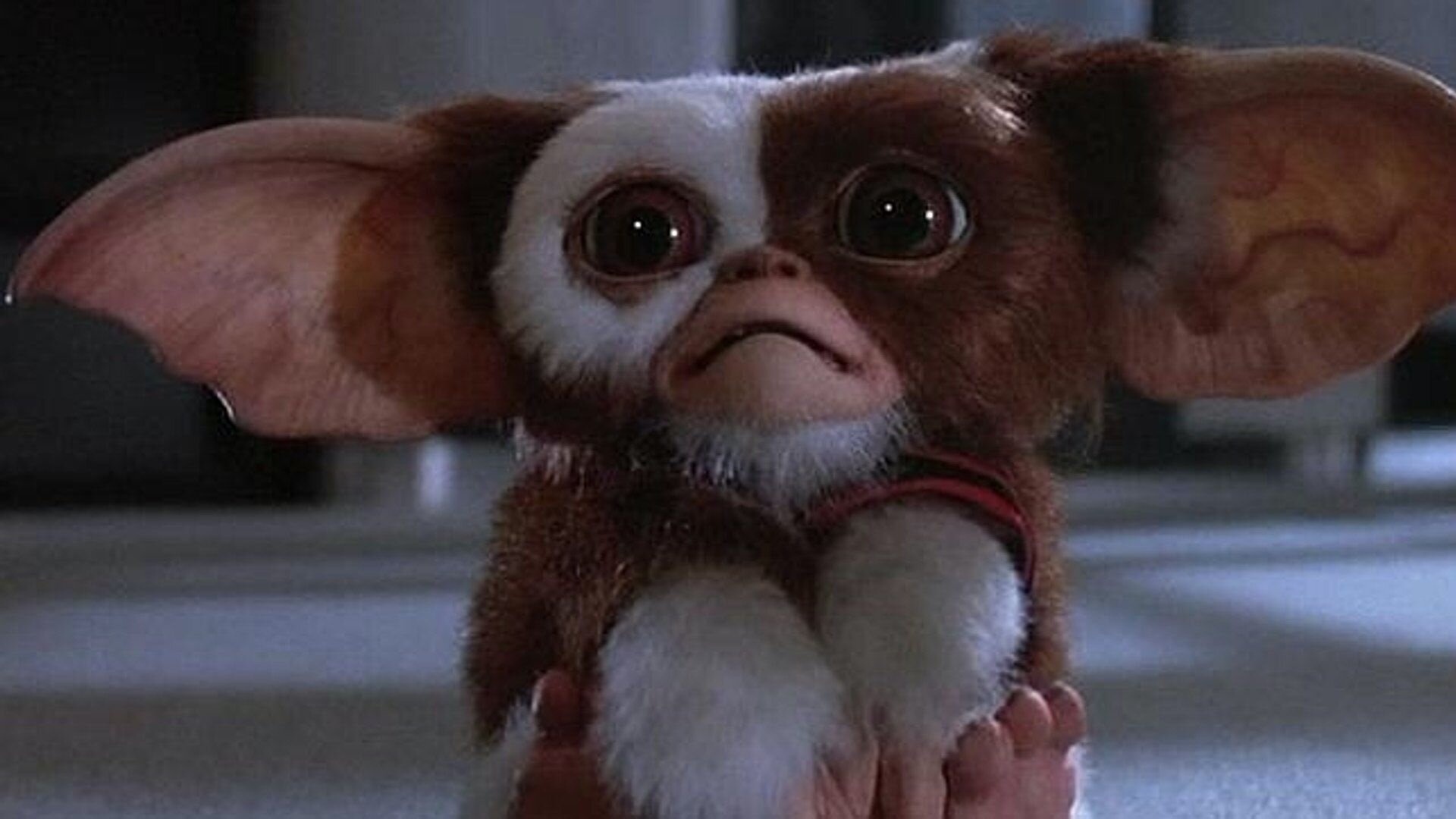 Chris Columbus, Gremlins 3, Practical effects, Tangible puppets, 1920x1080 Full HD Desktop