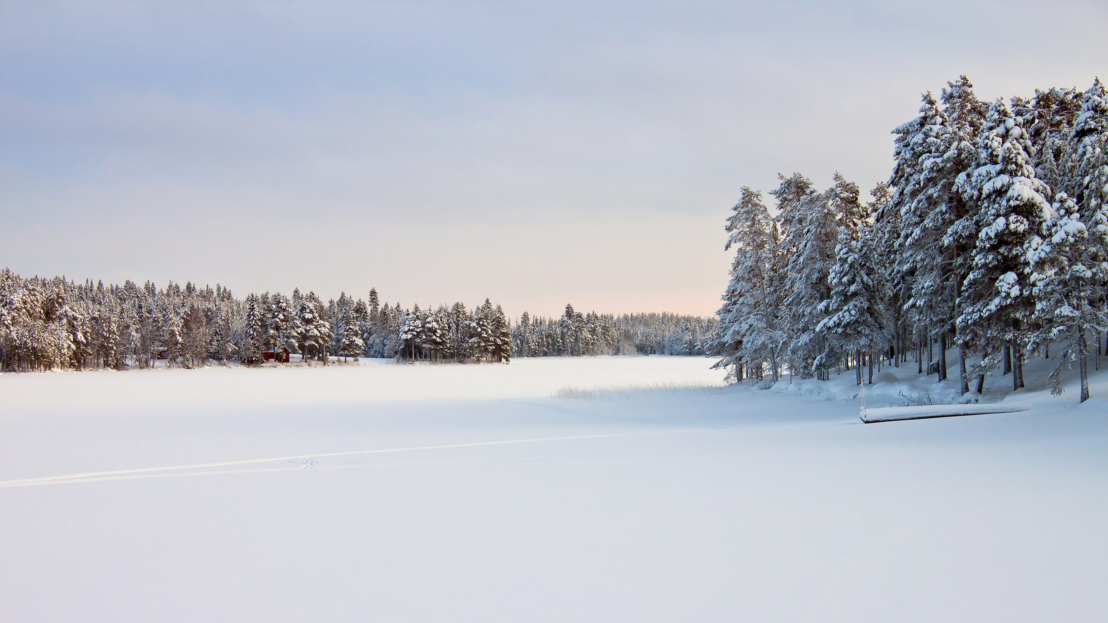Winter: The coldest season, Snowfield, A permanent wide expanse of snow. 3840x2160 4K Wallpaper.