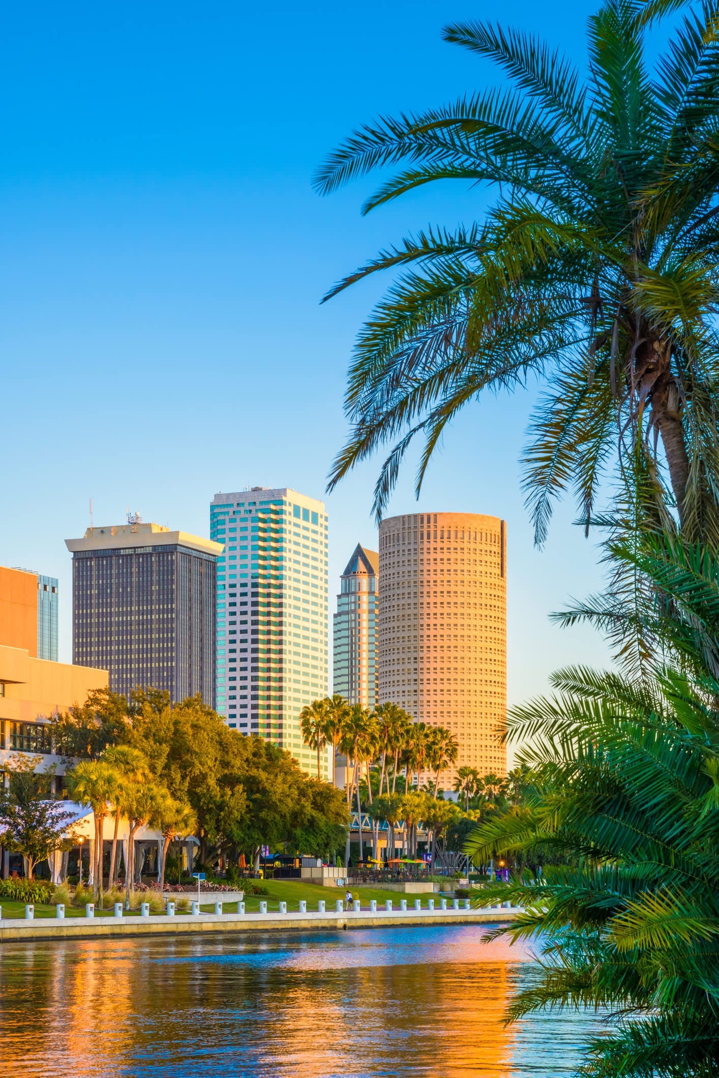 Virtual tour of Tampa, Online exploration, Florida cityscape, Travel from home, 1420x2120 HD Handy