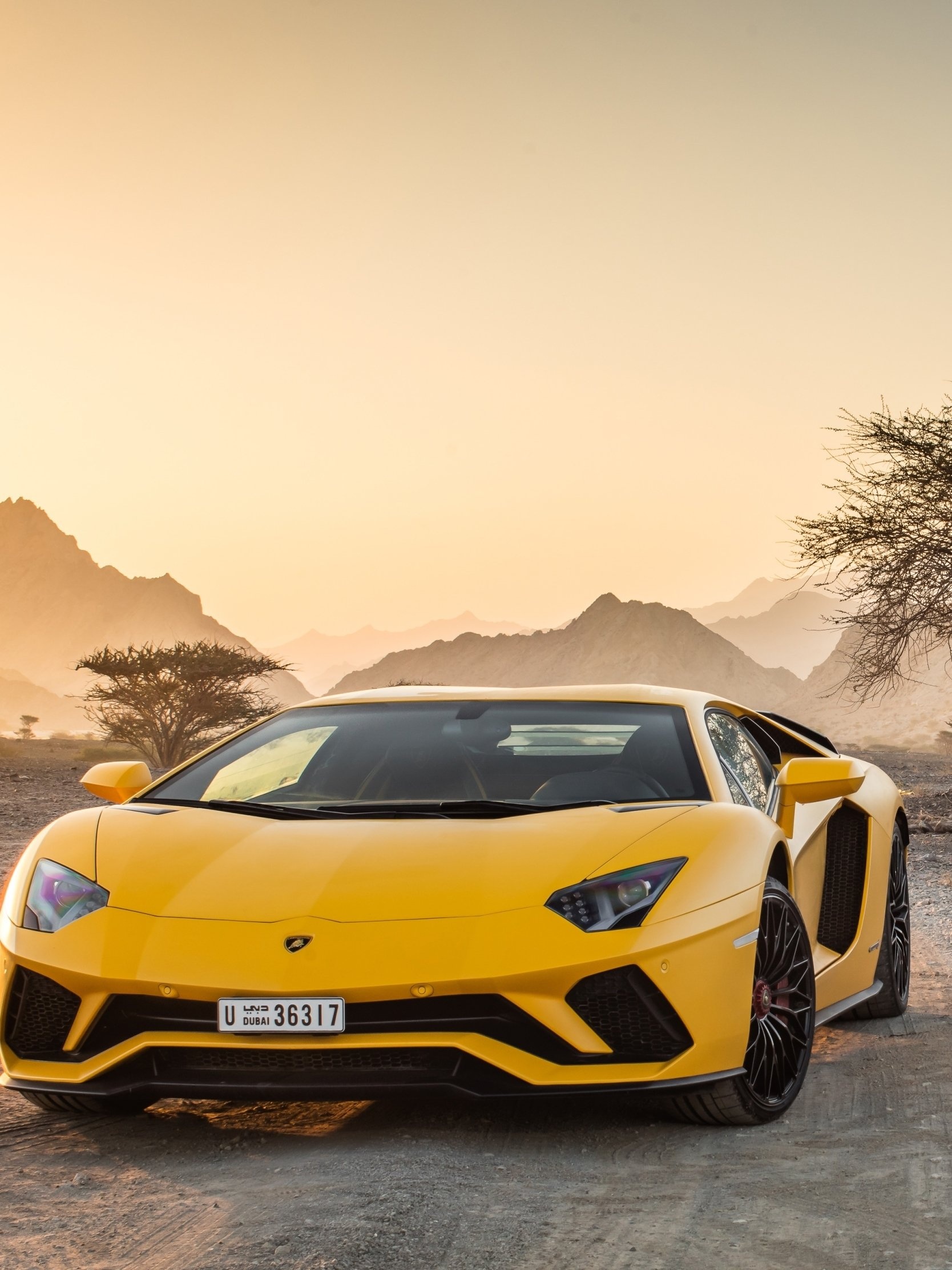 Vehicles, Aventador S, Performance coupe, Dynamic styling, 1670x2230 HD Handy