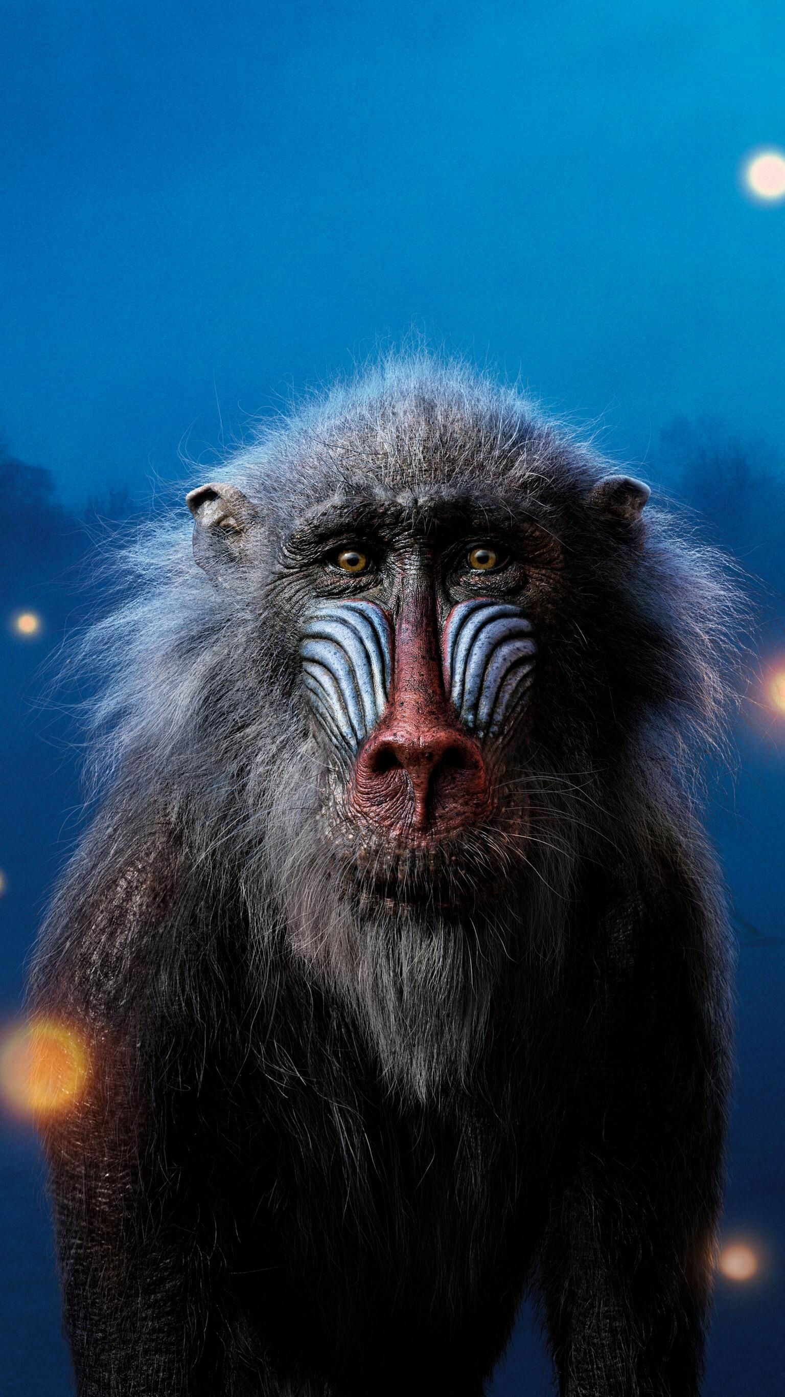 The Lion King: Rafiki, A male mandrill, Serves as the Royal Mjuzi of the Pride Lands. 1540x2740 HD Background.