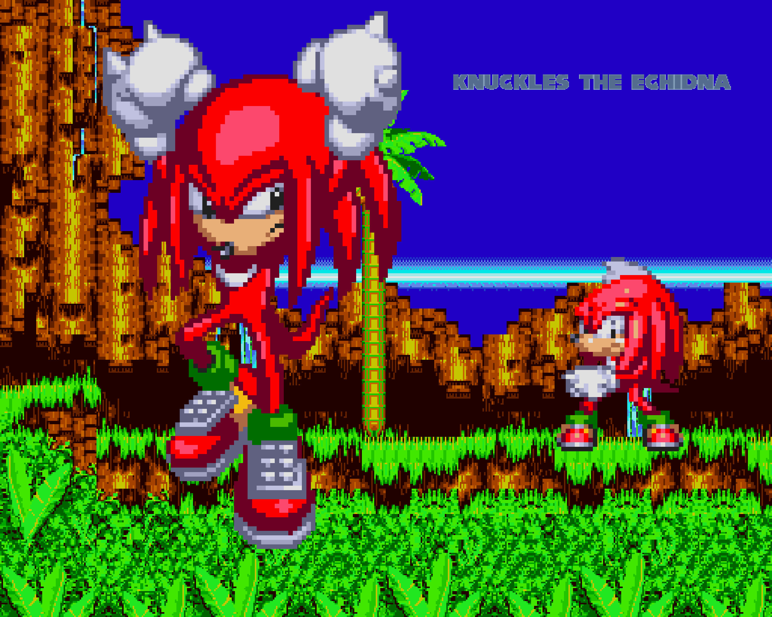 Knuckles the Echidna, Gaming, Sonic character, MOD generation, 2560x2050 HD Desktop
