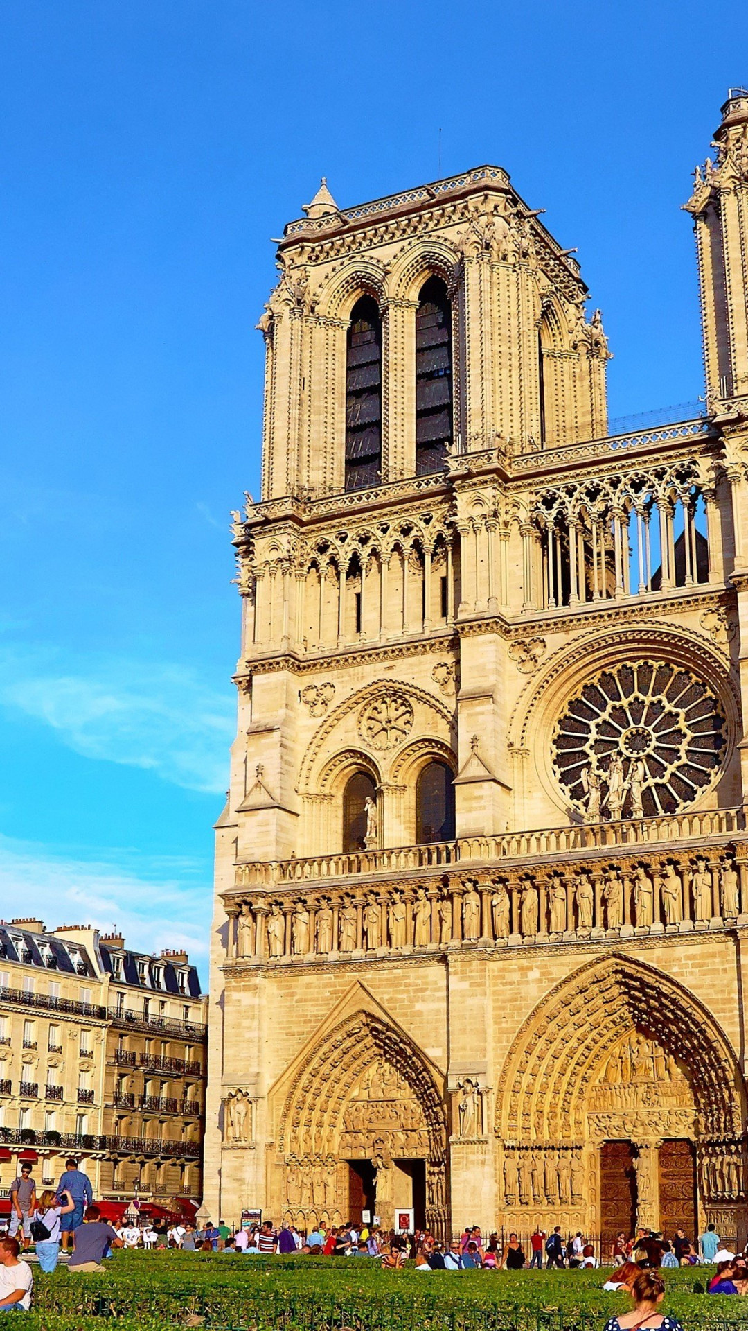 Notre-Dame Cathedral, Travels, Iconic building, Breathtaking wallpapers, 1080x1920 Full HD Handy
