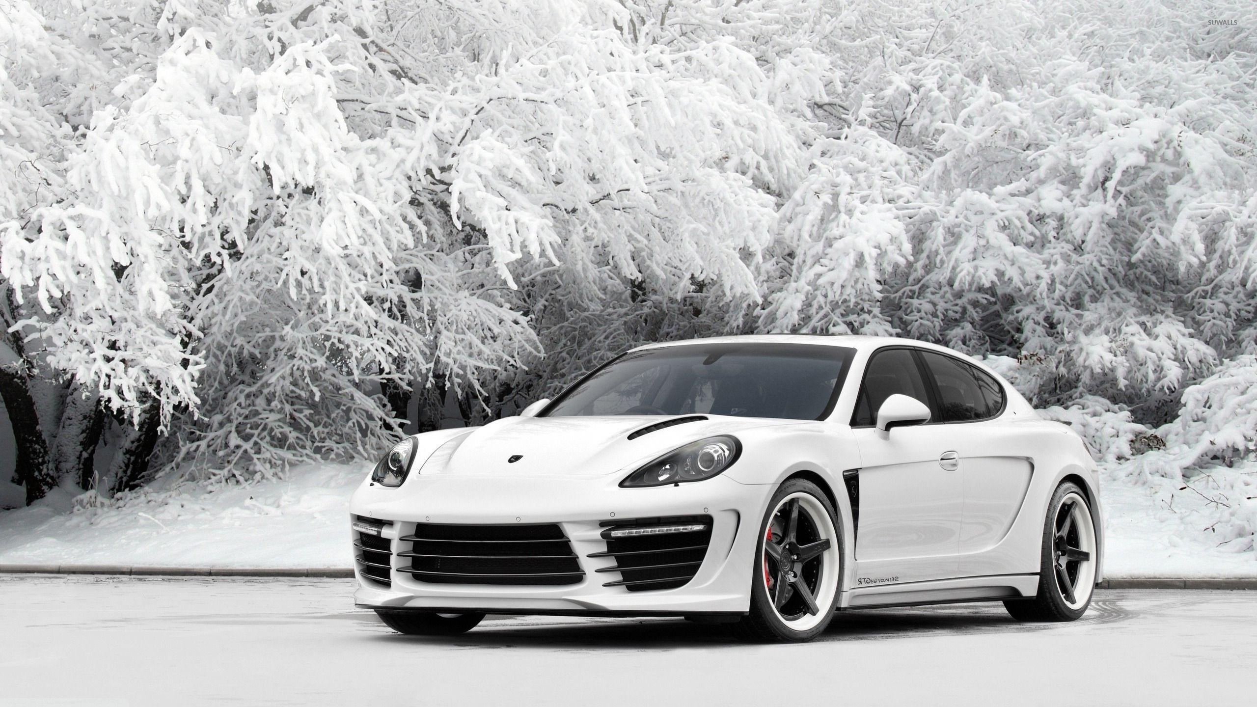 Porsche Panamera, Captivating wallpapers, Timeless beauty, Automotive artistry, 2560x1440 HD Desktop