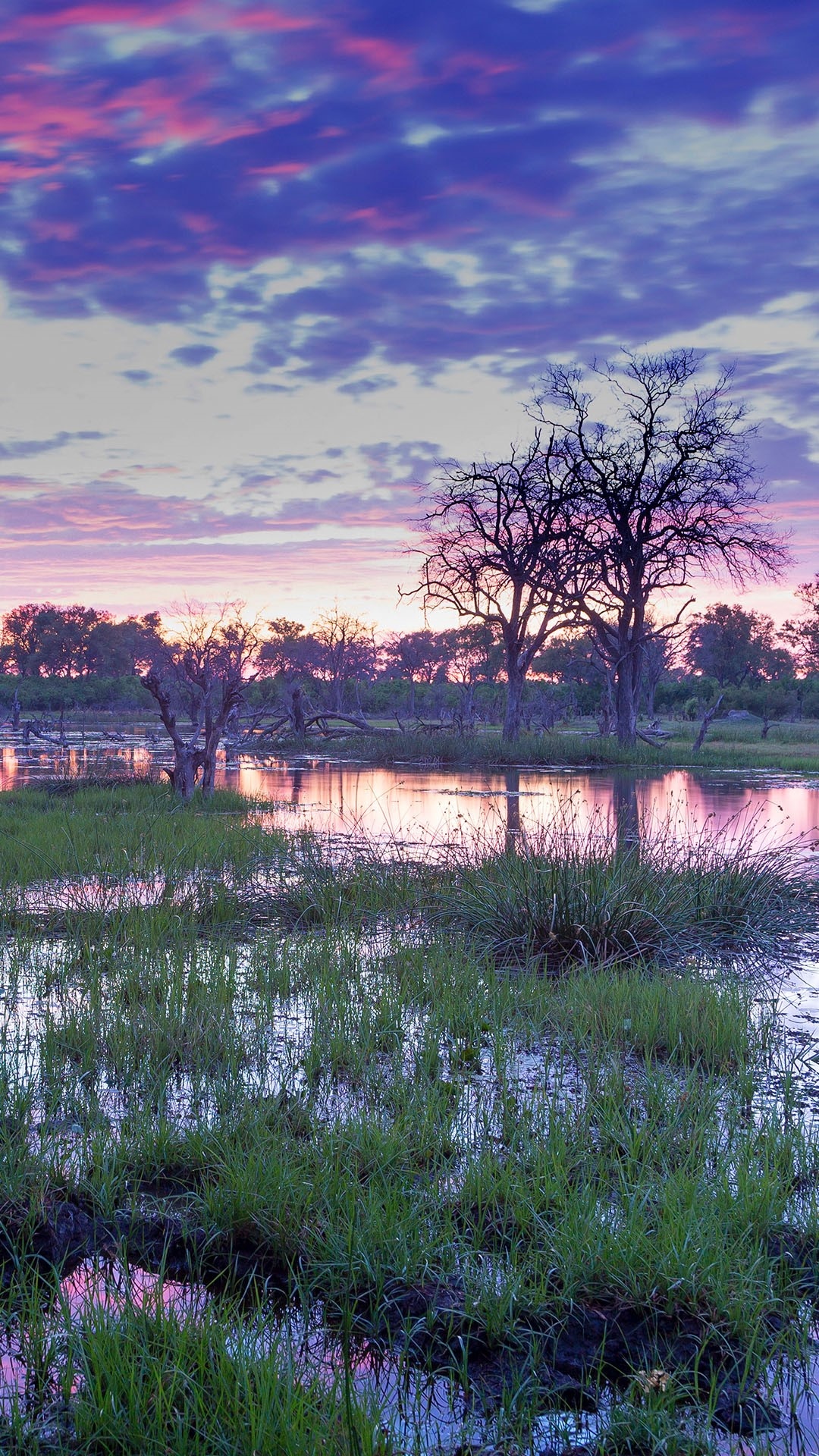 Windows 10 Spotlight: Schönheit des Okavango-Deltas, 1080x1920 Full HD Handy