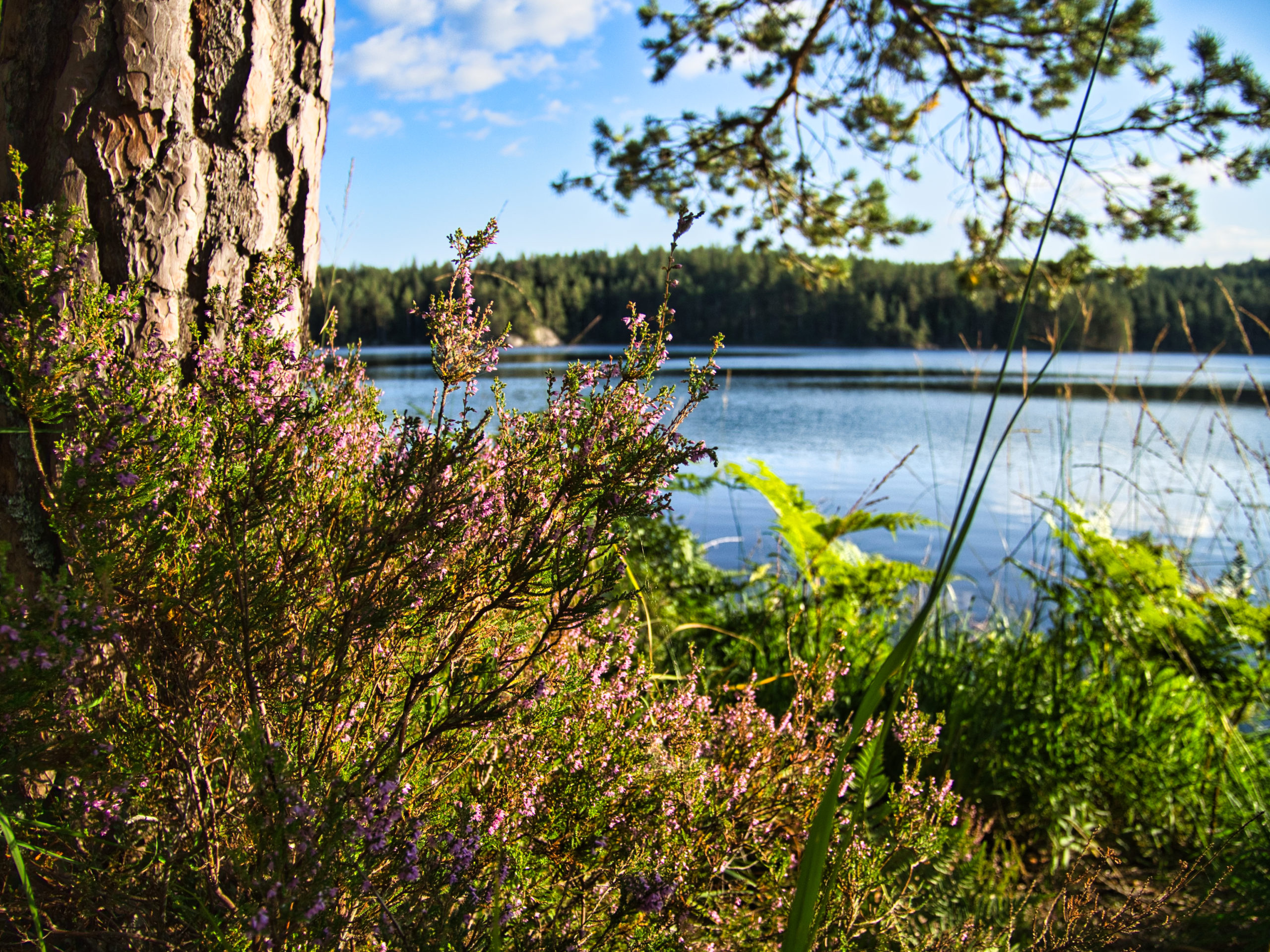 Vanern Lake, Autour des lacs, Vnern, vttern, 2560x1920 HD Desktop