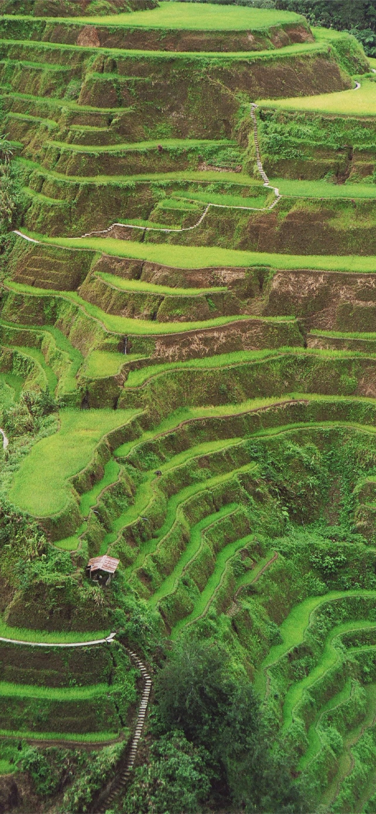 Banaue wallpapers, iPhone compatible, Free download, Stunning background, 1290x2780 HD Phone