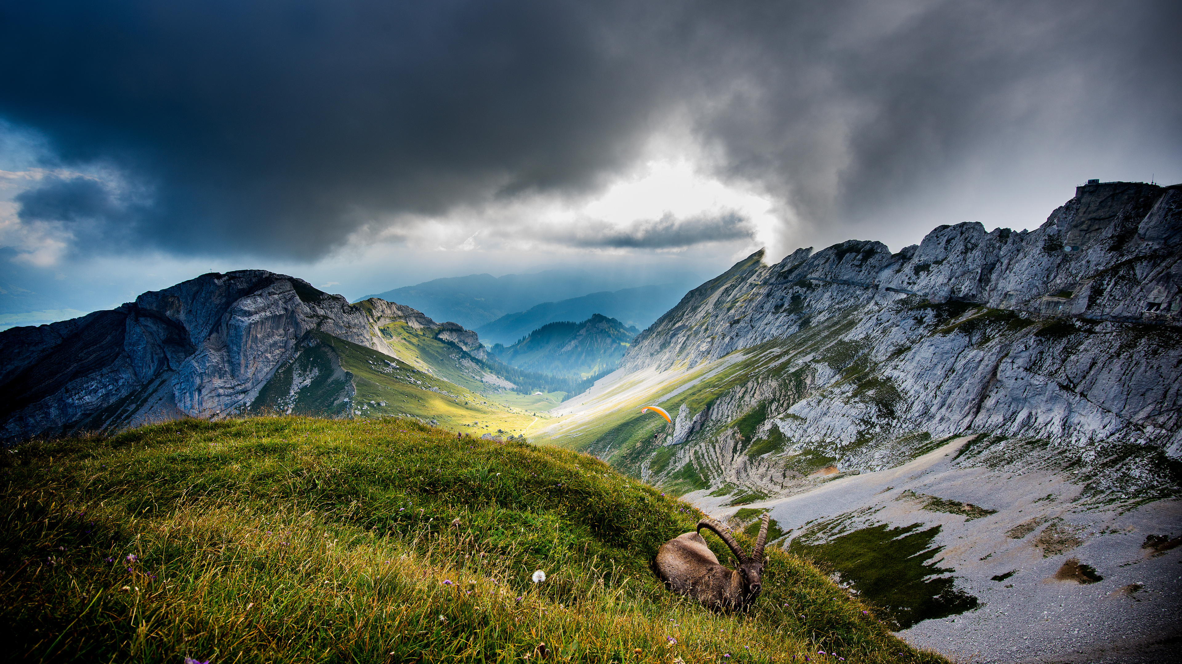 Mountain view, Skydiving adventure, Majestic goat, Nature's wonder, 3840x2160 4K Desktop