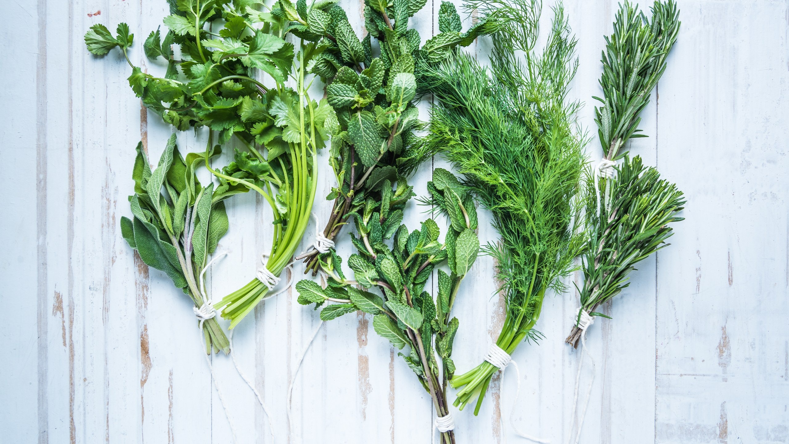 Dill herb, Culinary uses, Green foliage, Ryan Anderson, 2560x1440 HD Desktop