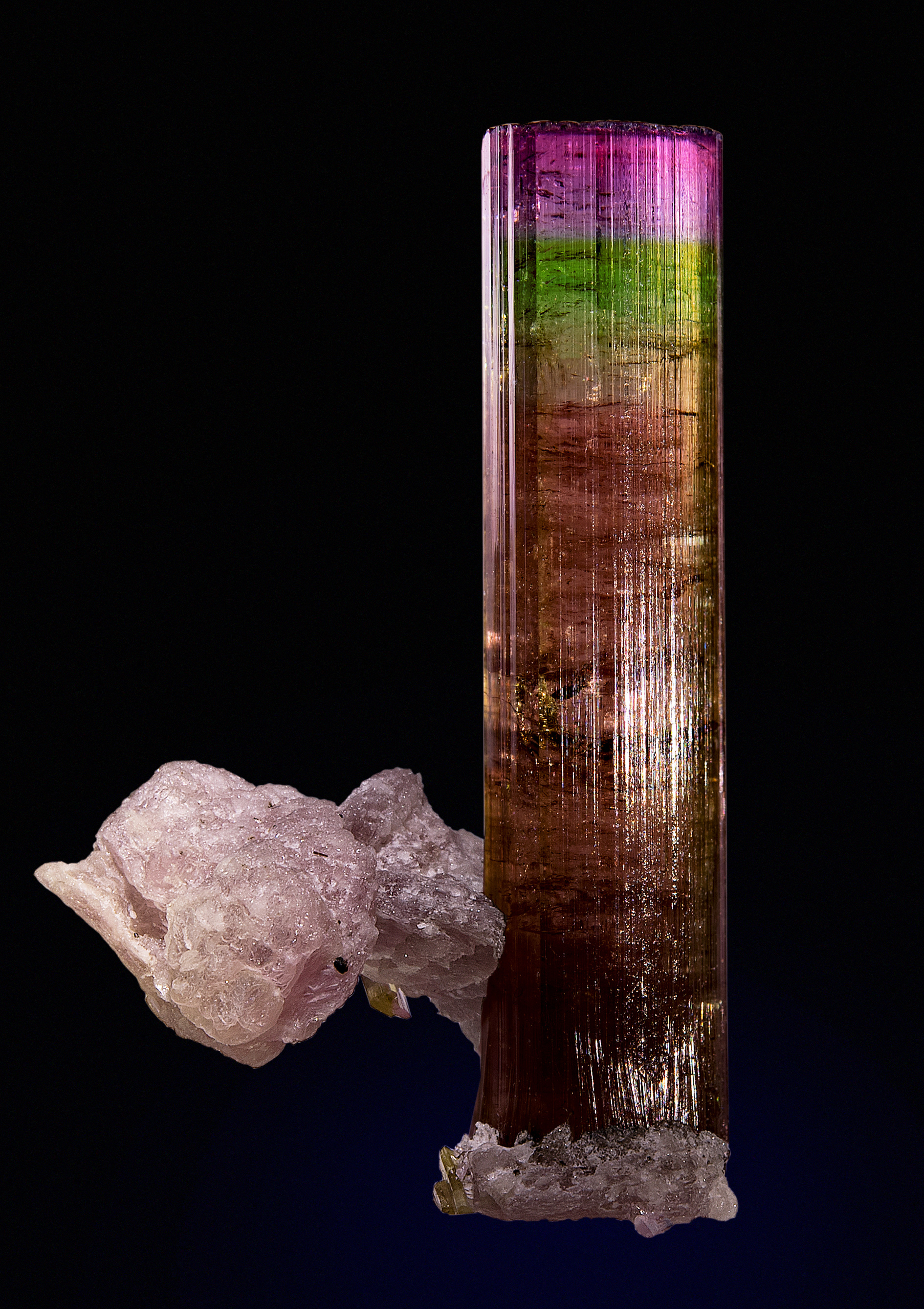 Saphira Minerals - ShowSearchResult 1890x2680