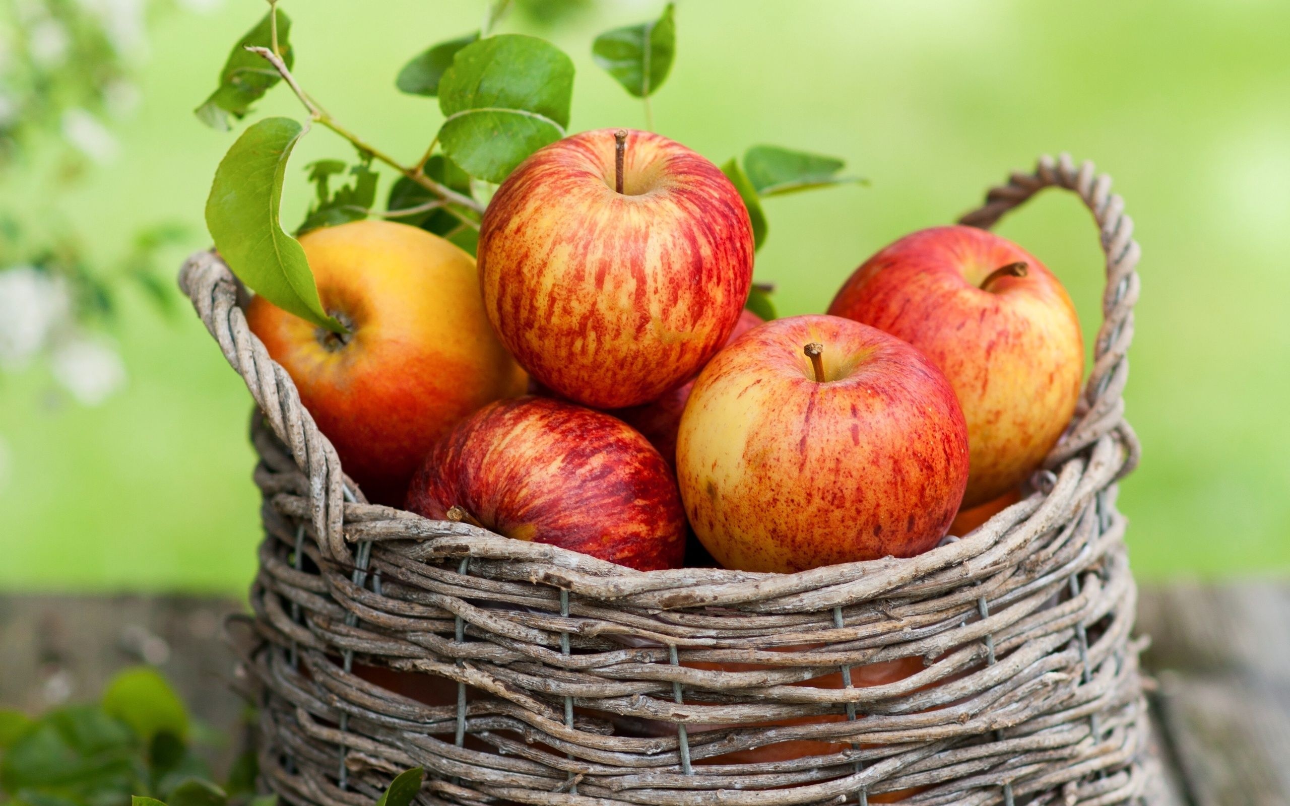 Apple (Fruit): Autumn fruit, Staple food, Basket. 2560x1600 HD Background.