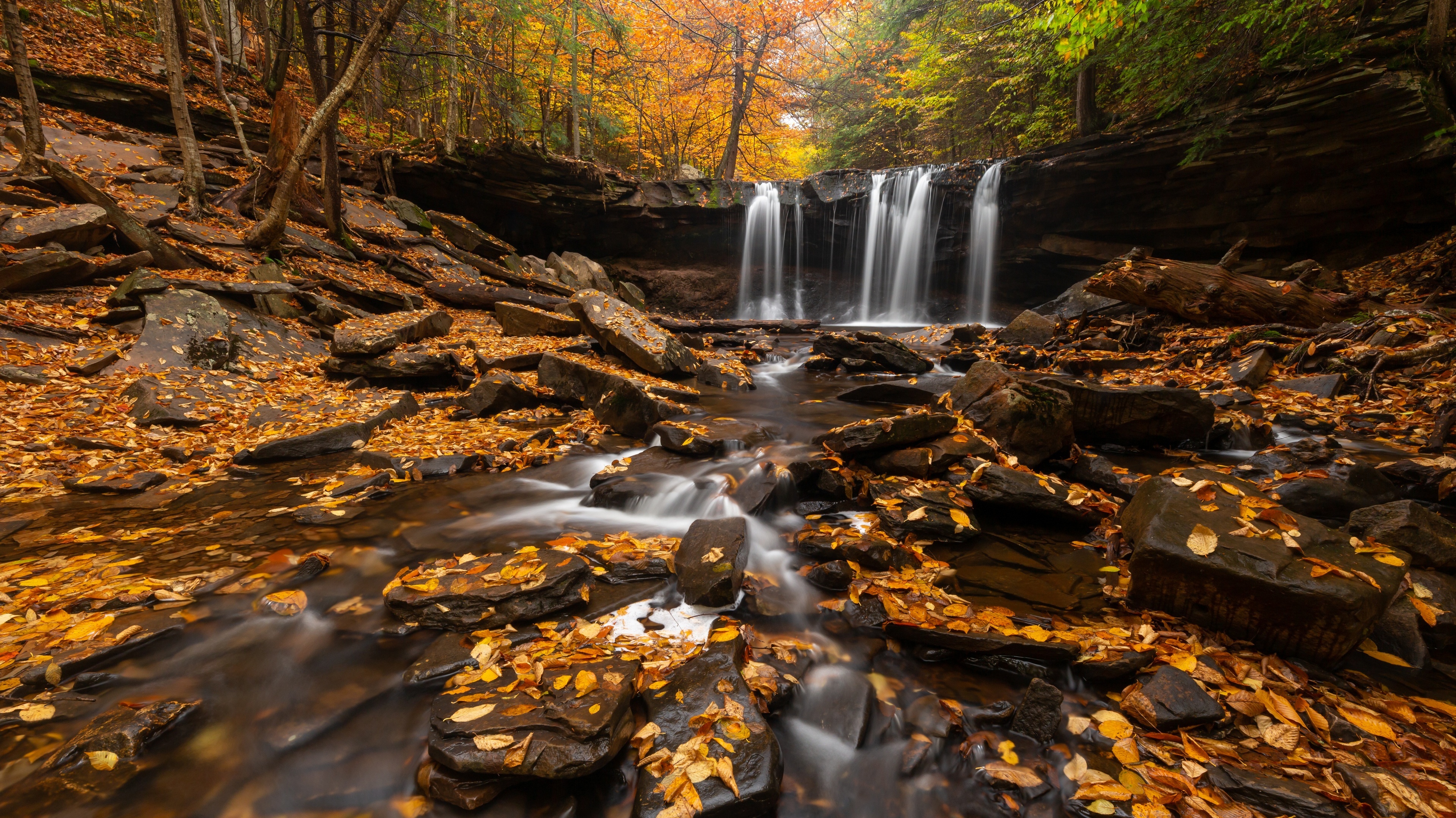 Pennsylvania travels, Waterfall, Autumn leaves, USA, 3840x2160 4K Desktop