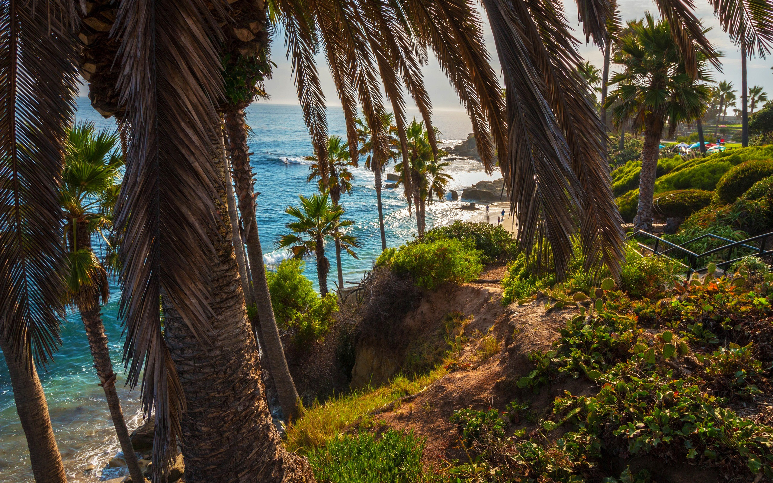 Laguna Beach, Ocean palms coast, California beauty, American charm, 2560x1600 HD Desktop