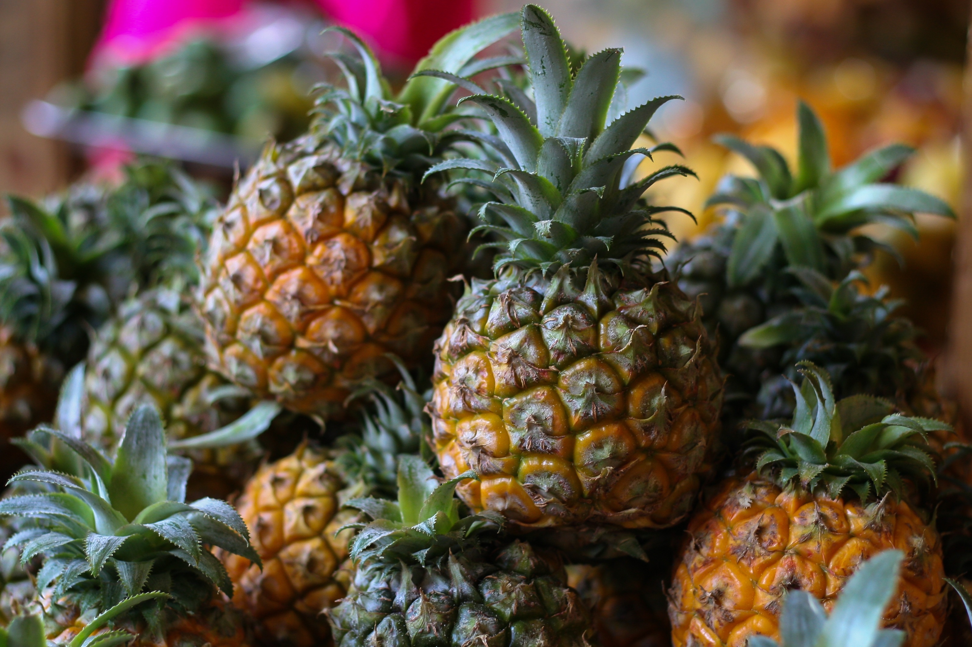 Pineapple: A tropical fruit with a very familiar shape and sweet taste. 3200x2130 HD Background.
