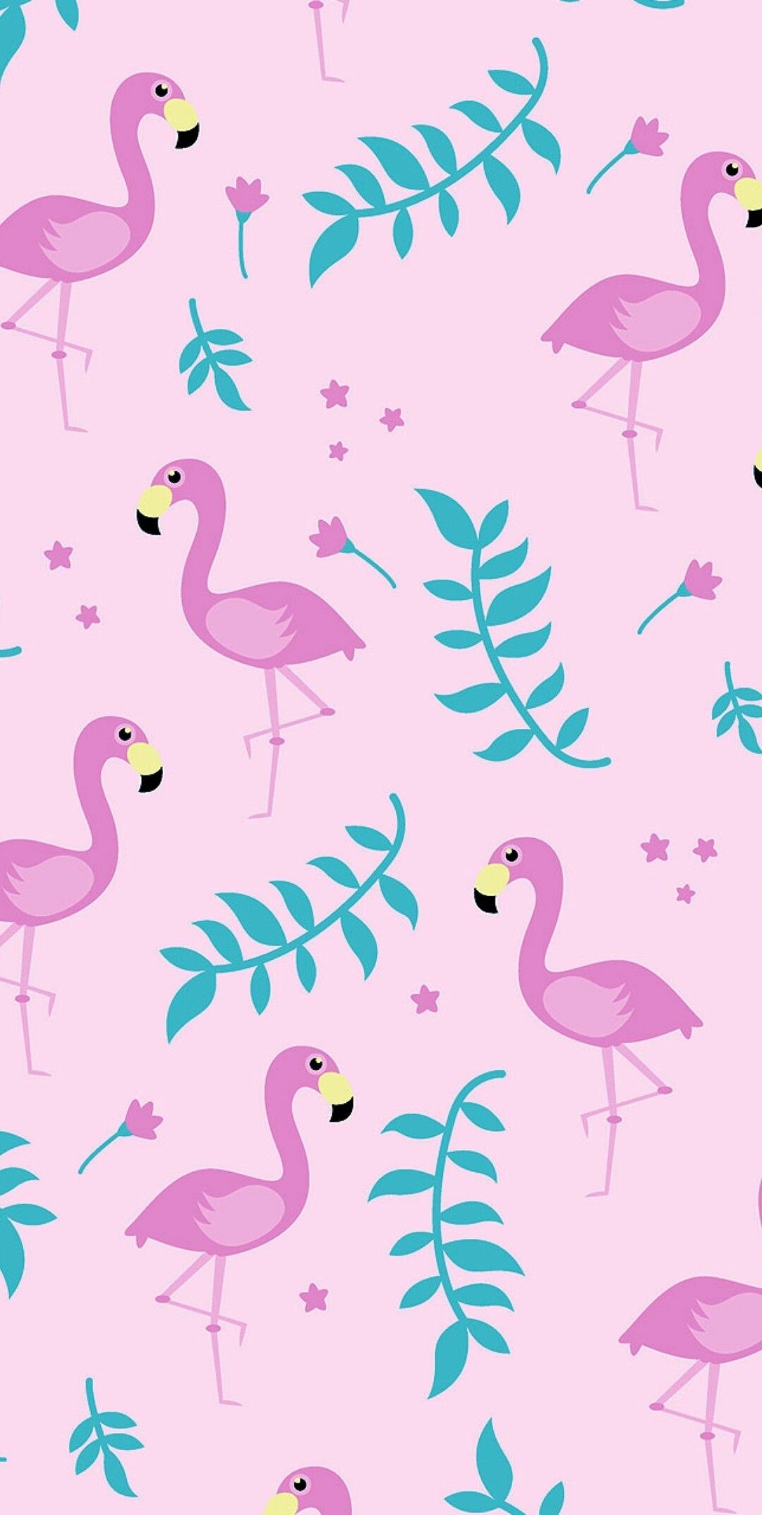 Flamingo: Social birds, often congregating in large flocks. 1080x2150 HD Background.