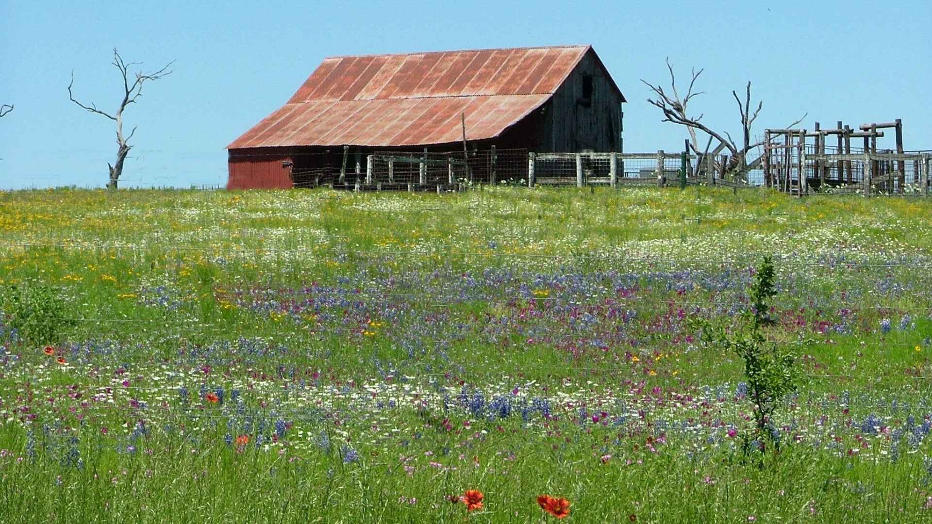 Texas Hill Country, Old barn, Llano TX, Field, 1920x1080 Full HD Desktop