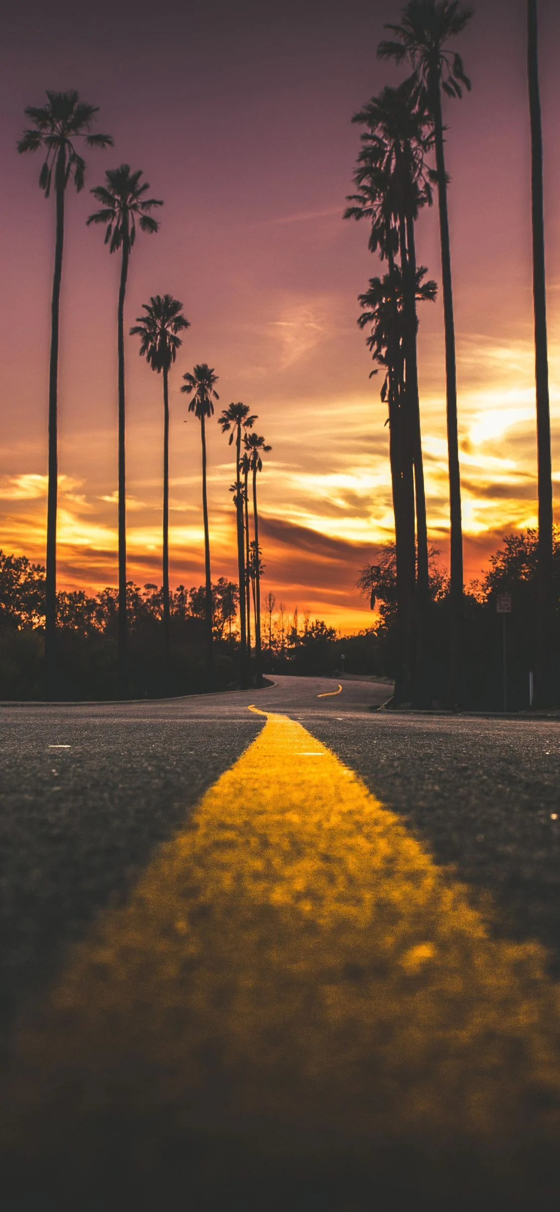 California, City sunset wallpapers, Beautiful skyline colors, Urban beauty, 1130x2440 HD Phone
