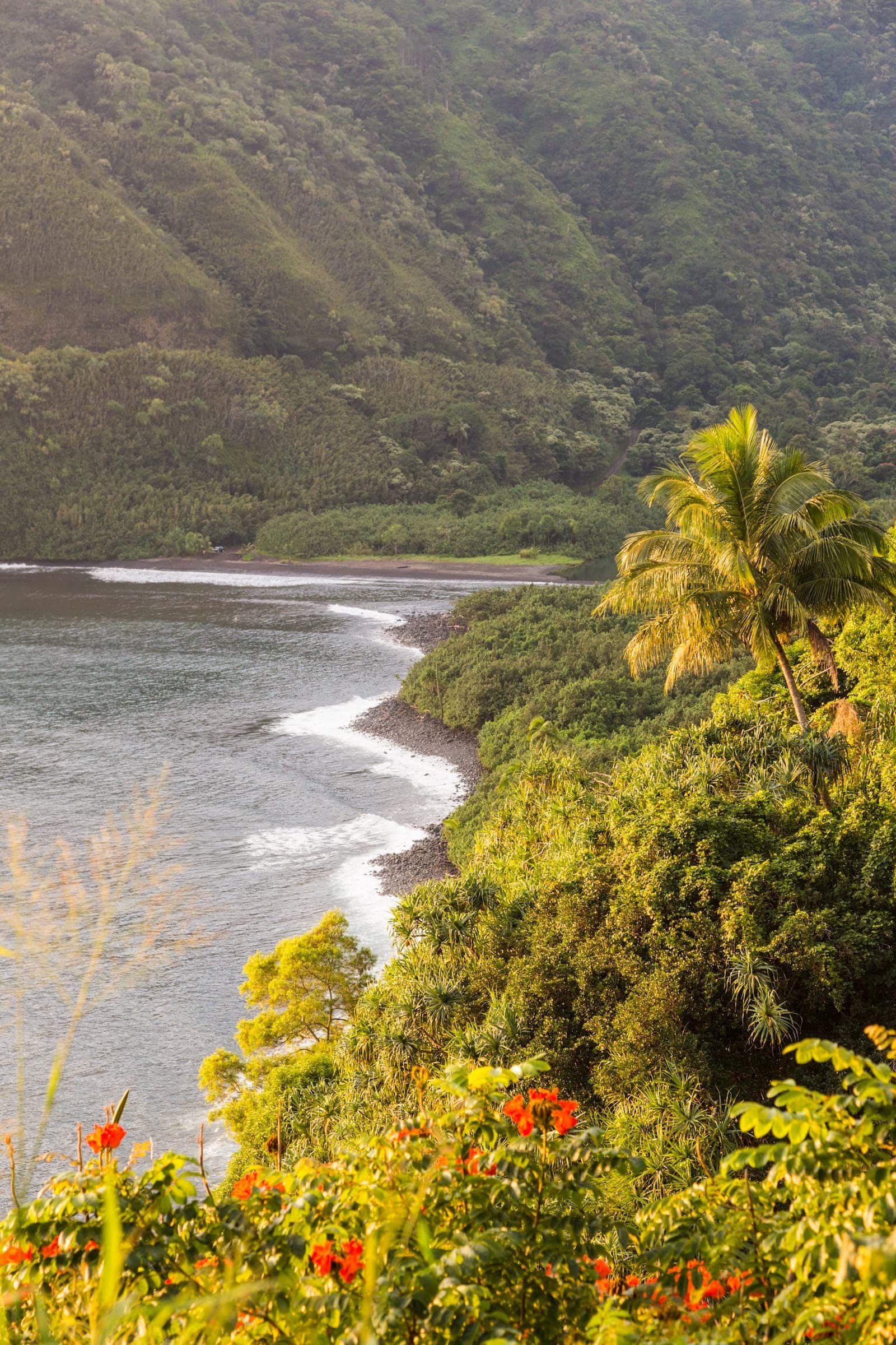 Road to Hana, Maui planning guide, Popular sights, Scenic drive, 1600x2400 HD Handy