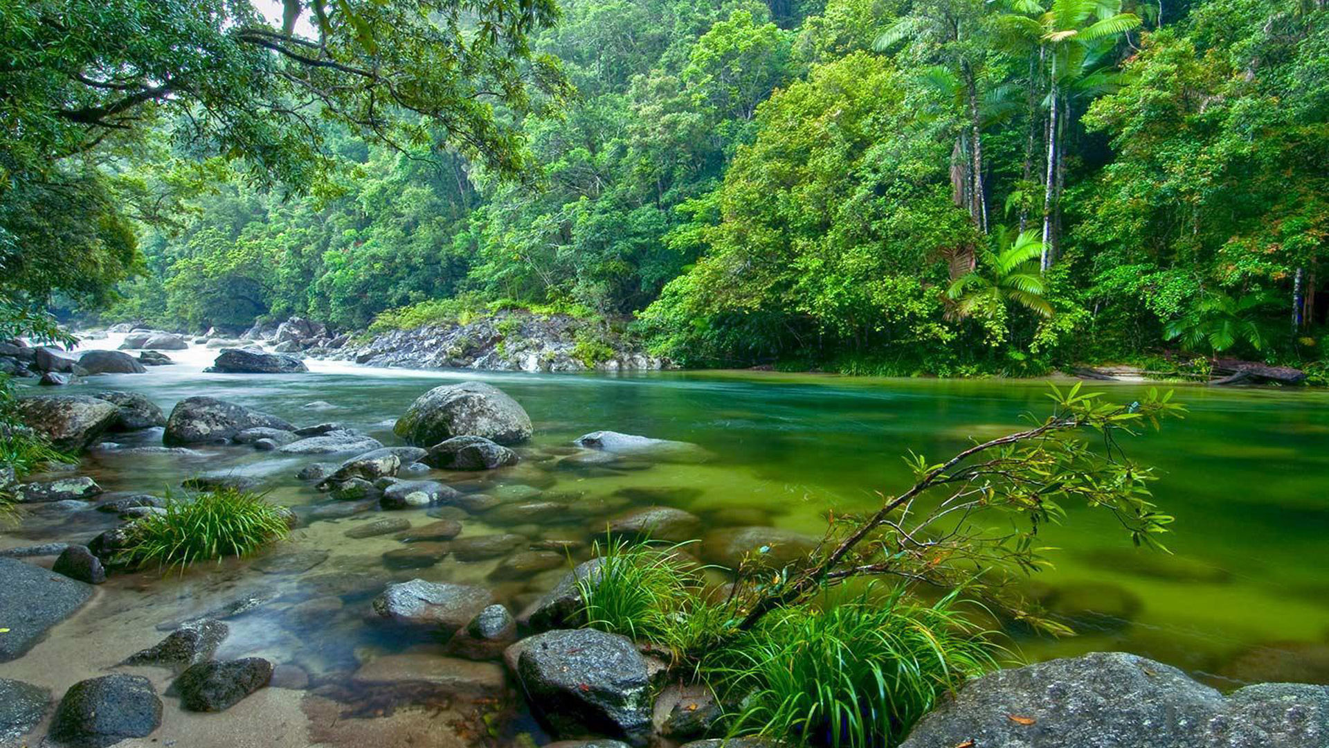Daintree National Park, Barron Gorge, Cairns region, Tropical wonderland, 1920x1080 Full HD Desktop