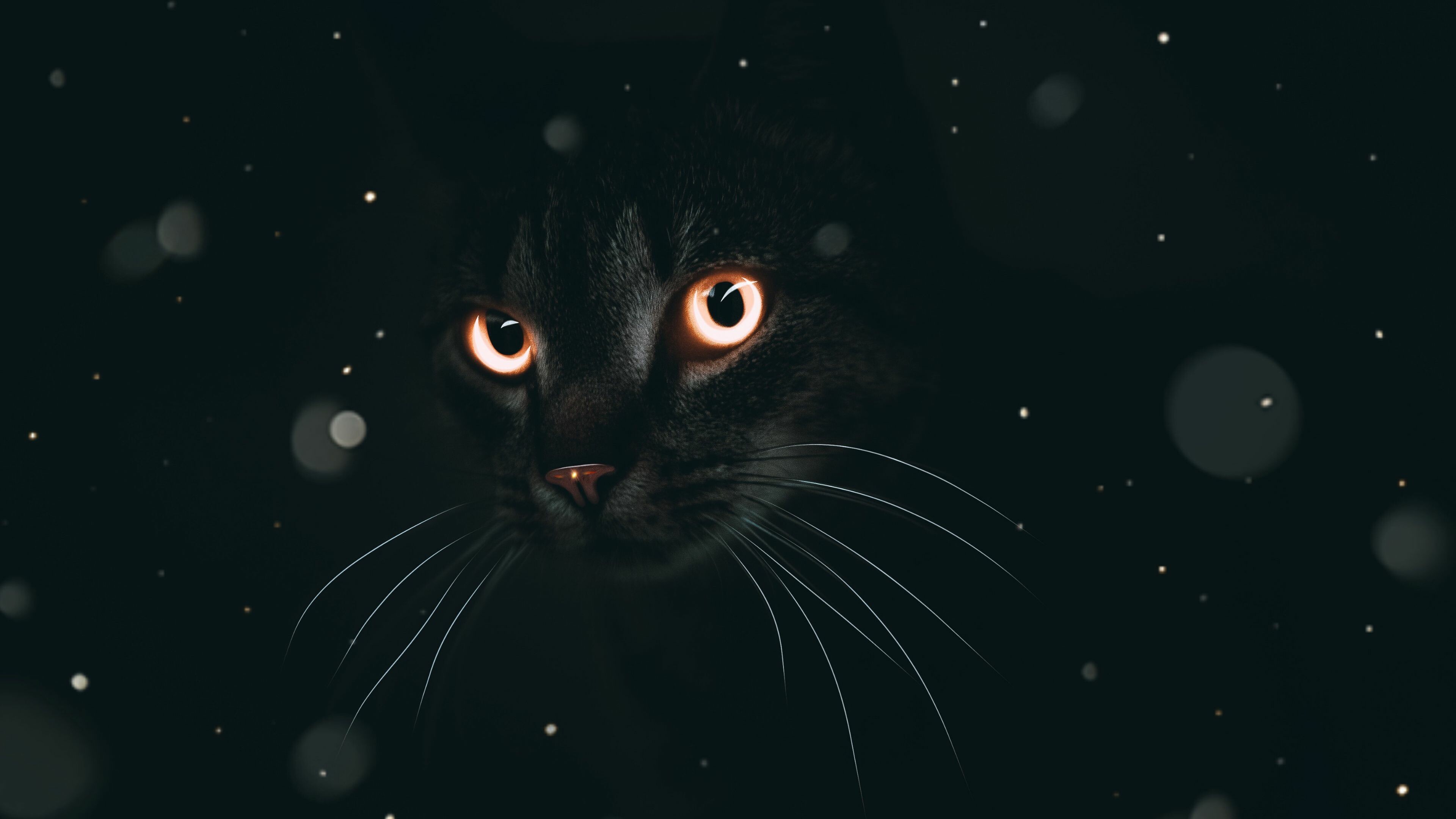 Dark cat, Mysterious and brooding, Shadowy figure, Enigmatic presence, 3840x2160 4K Desktop