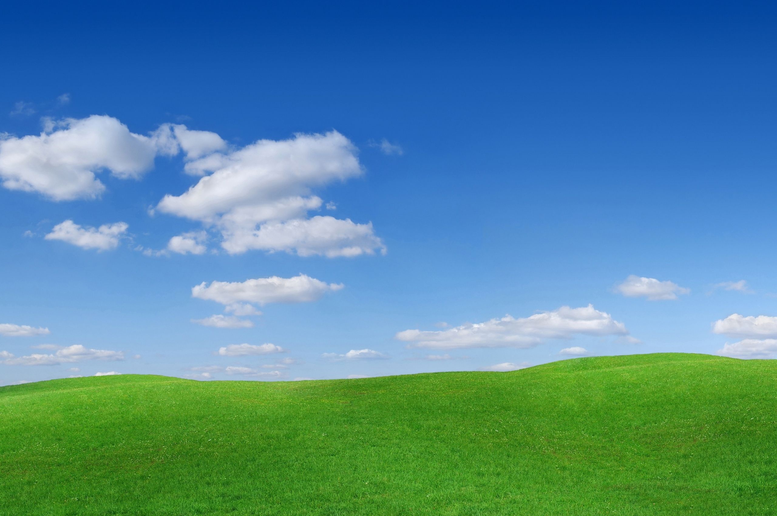 Grass and Sky: Field, In the open air, Serenity, Platteland, Land topography, Natural features. 2560x1700 HD Wallpaper.