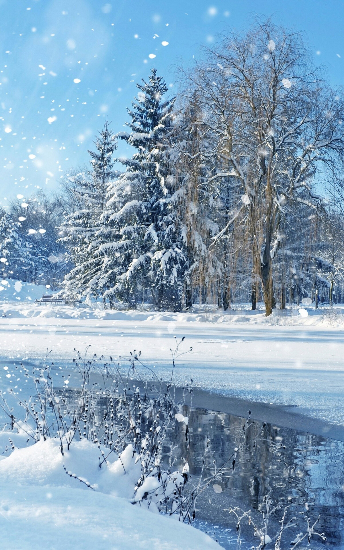 Snowfall: Winter, Forms when the atmospheric temperature is at or below freezing. 1200x1920 HD Wallpaper.