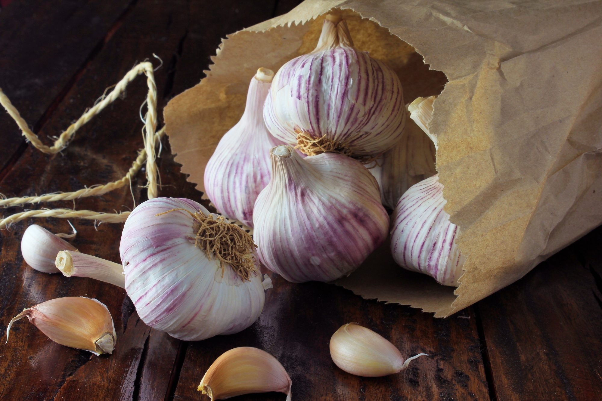 Fresh garlic versus jarred, Garlic powder uses, Culinary comparisons, Flavor choices, 2000x1340 HD Desktop