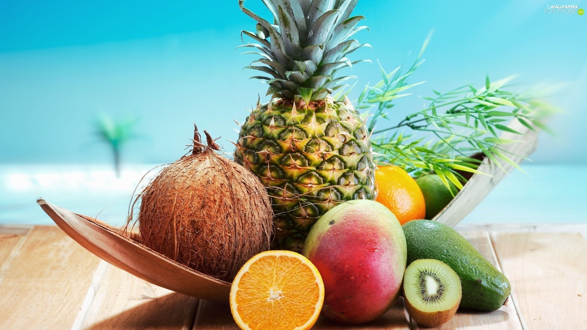 Coconut: Kiwi, Avocado, Mango, Pineapple, Fruits, Orange, Cocos nucifera. 2050x1160 HD Background.