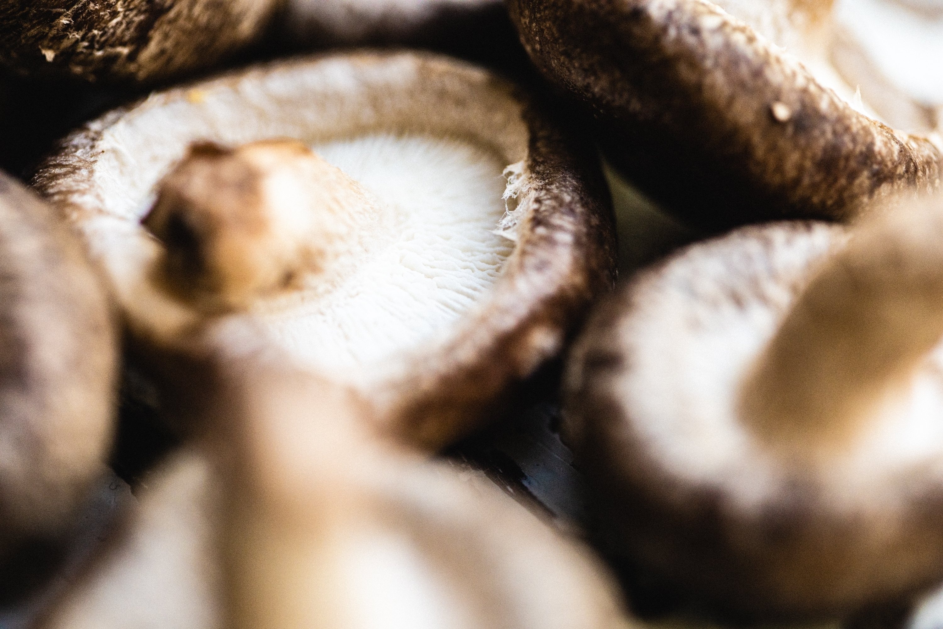Fresh shiitake mushrooms, Organic produce, High-quality ingredients, Farm-to-table goodness, 3000x2000 HD Desktop