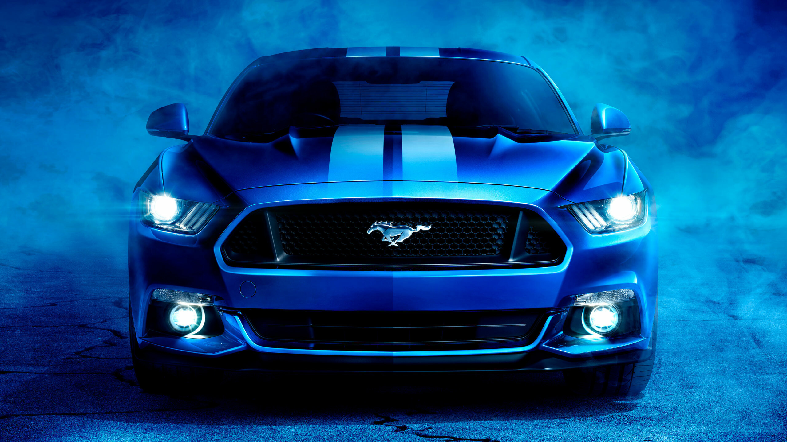 Ford: Shelby Mustang, A high-performance variant, Shelby American. 2560x1440 HD Wallpaper.