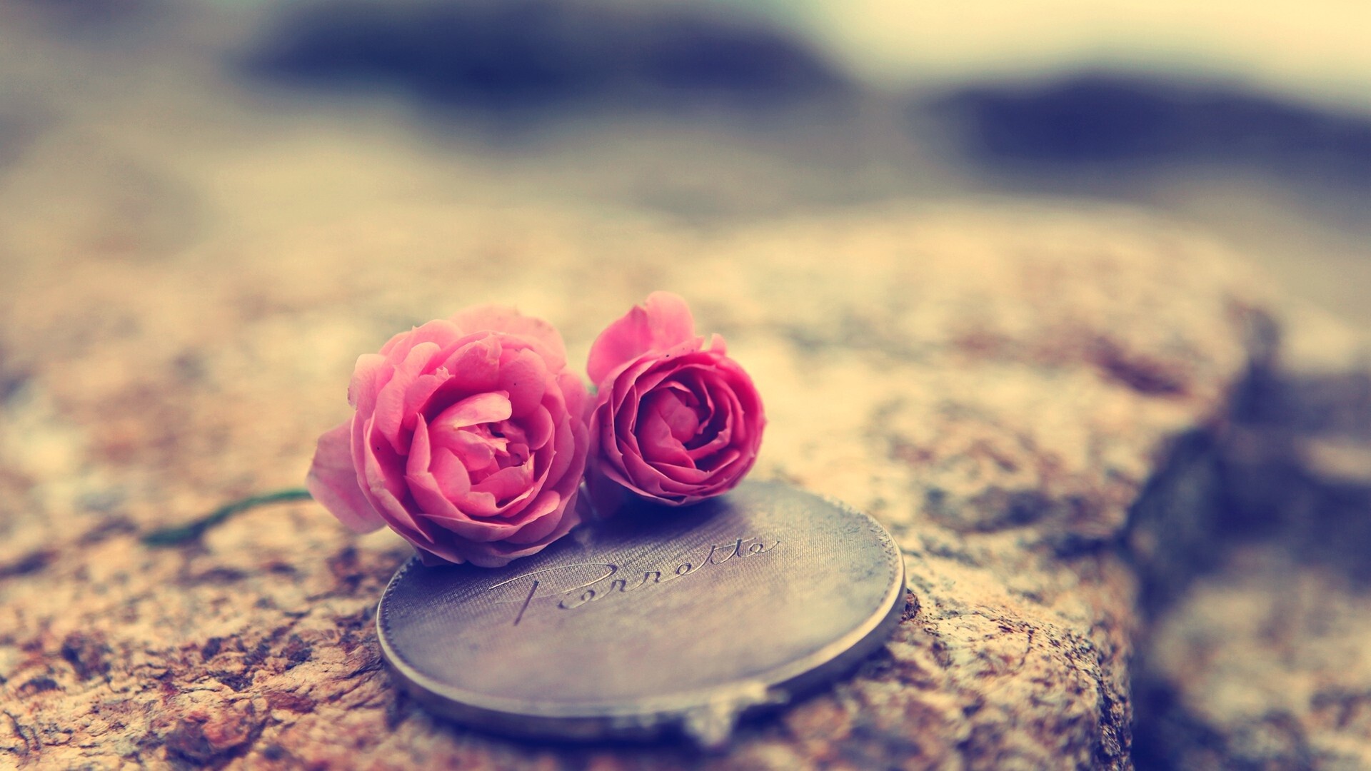 Girly: Roses, The symbol of love, Beauty and elegance, A beautiful charm. 1920x1080 Full HD Background.